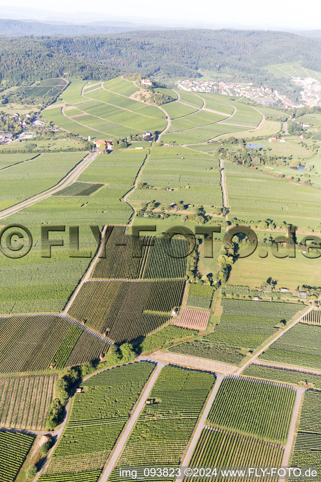 Vue aérienne de Vignobles à Bönnigheim dans le département Bade-Wurtemberg, Allemagne