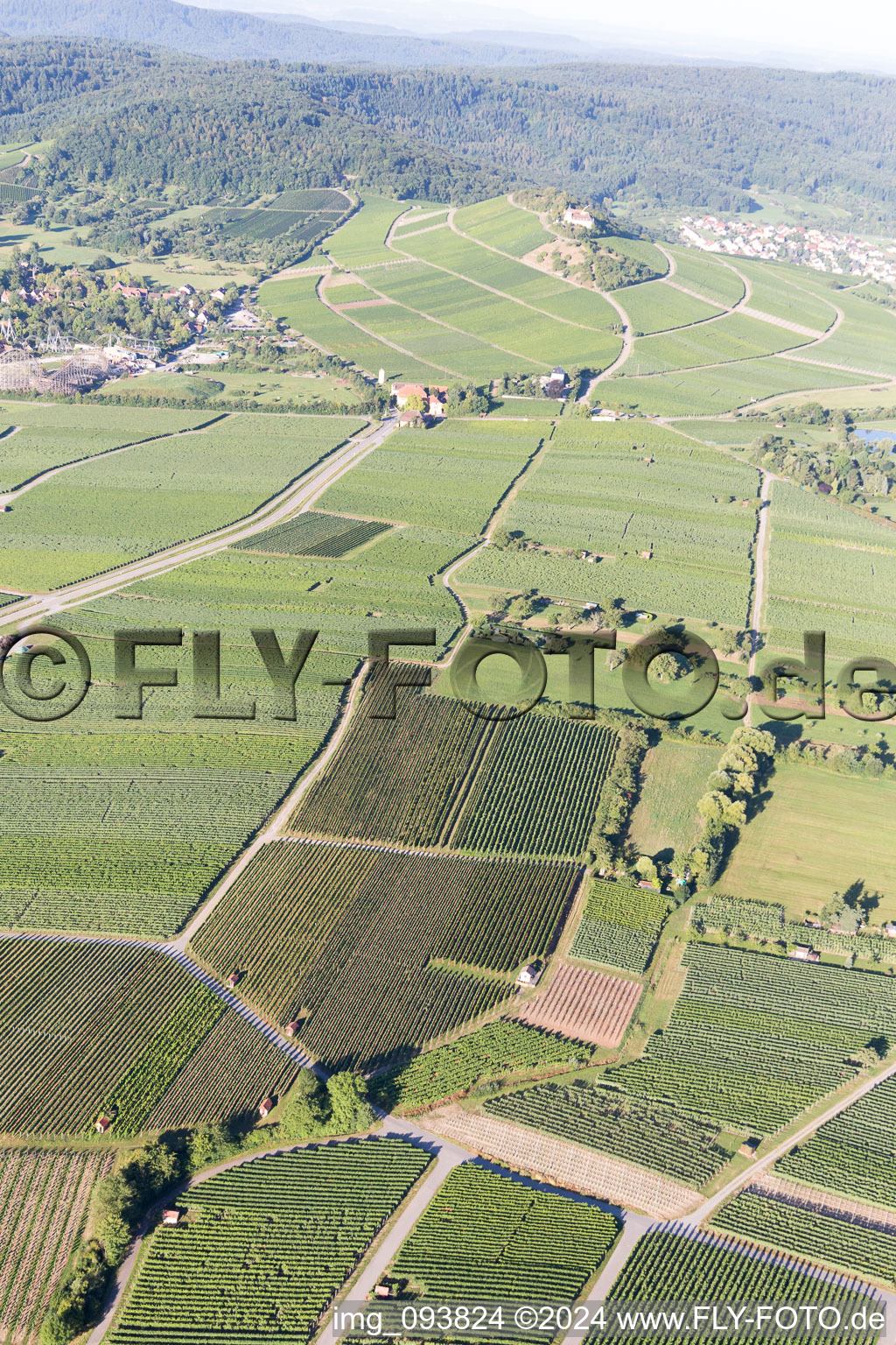 Vue aérienne de Vignobles à Bönnigheim dans le département Bade-Wurtemberg, Allemagne