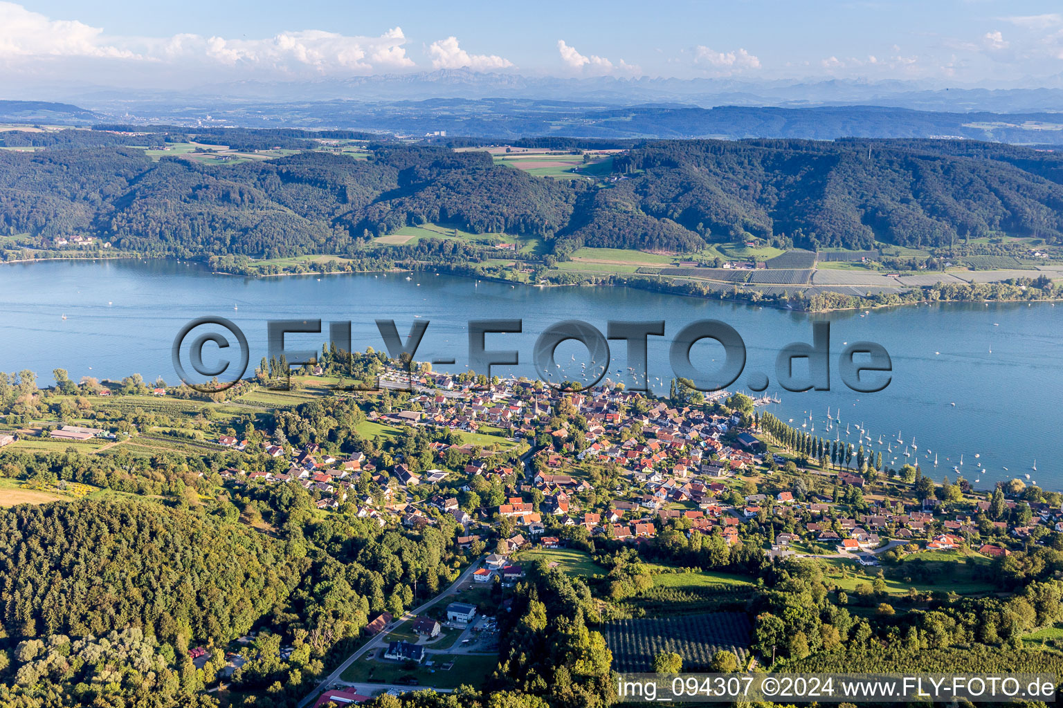 Vue aérienne de Zones riveraines du lac Untersee à Wangen dans le département Bade-Wurtemberg, Allemagne