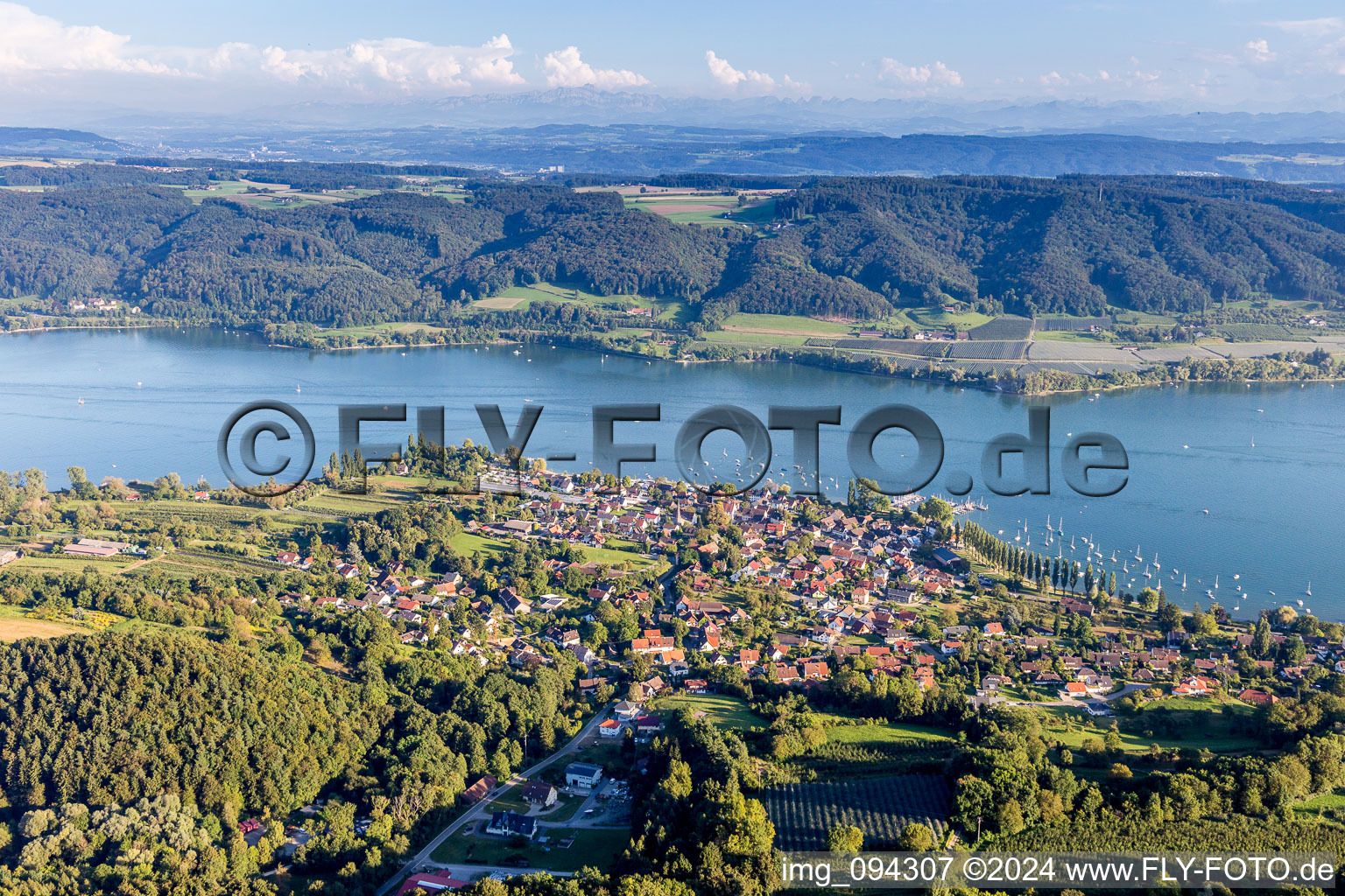 Vue aérienne de Surfaces riveraines du lac Untersee en Wangen à le quartier Wangen in Öhningen dans le département Bade-Wurtemberg, Allemagne