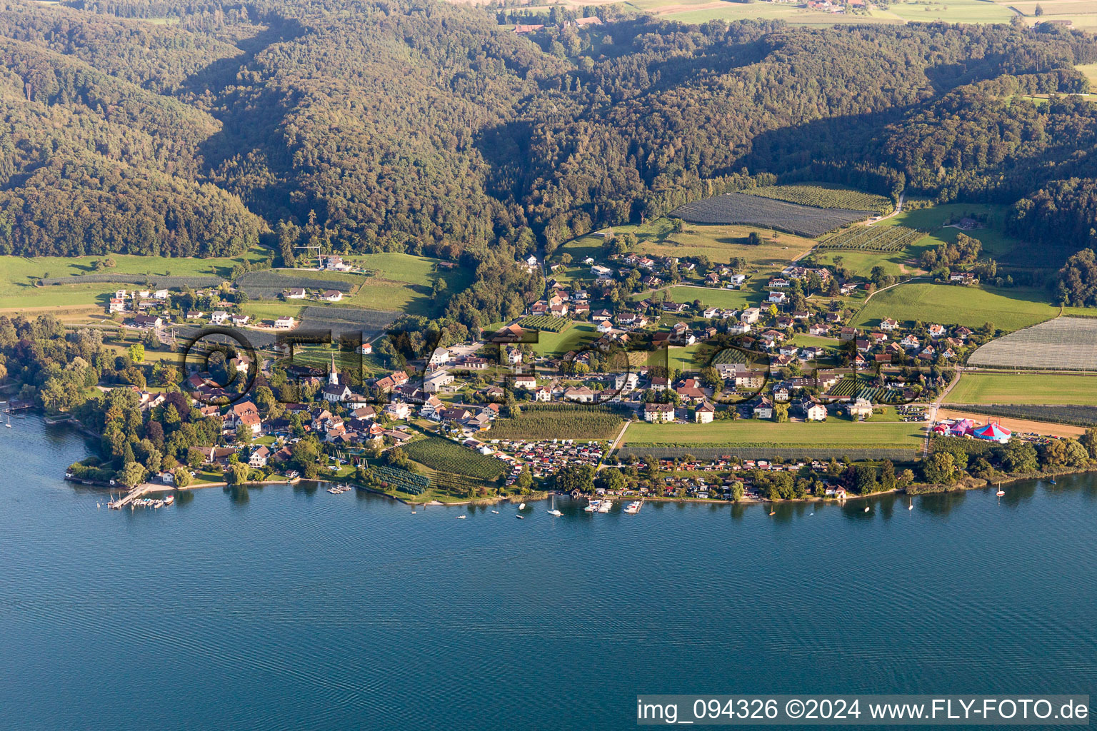 Vue aérienne de Zones riveraines du lac de Constance à Mammern dans le département Thurgovie, Suisse