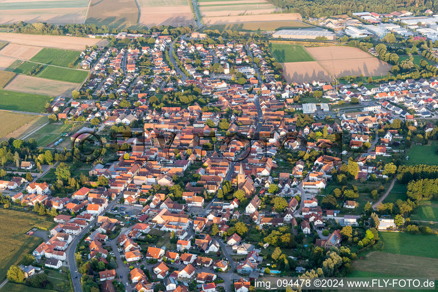 Photographie aérienne de Champs agricoles et surfaces utilisables à Rohrbach dans le département Rhénanie-Palatinat, Allemagne