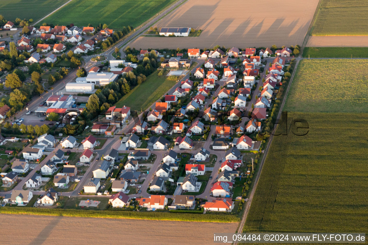 Steinweiler dans le département Rhénanie-Palatinat, Allemagne vue du ciel