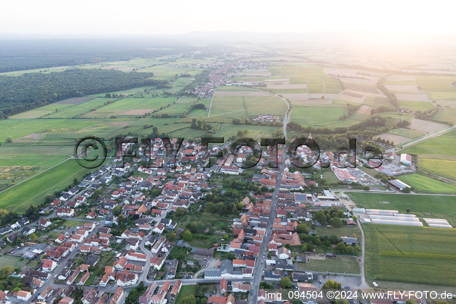 Photographie aérienne de Minfeld dans le département Rhénanie-Palatinat, Allemagne