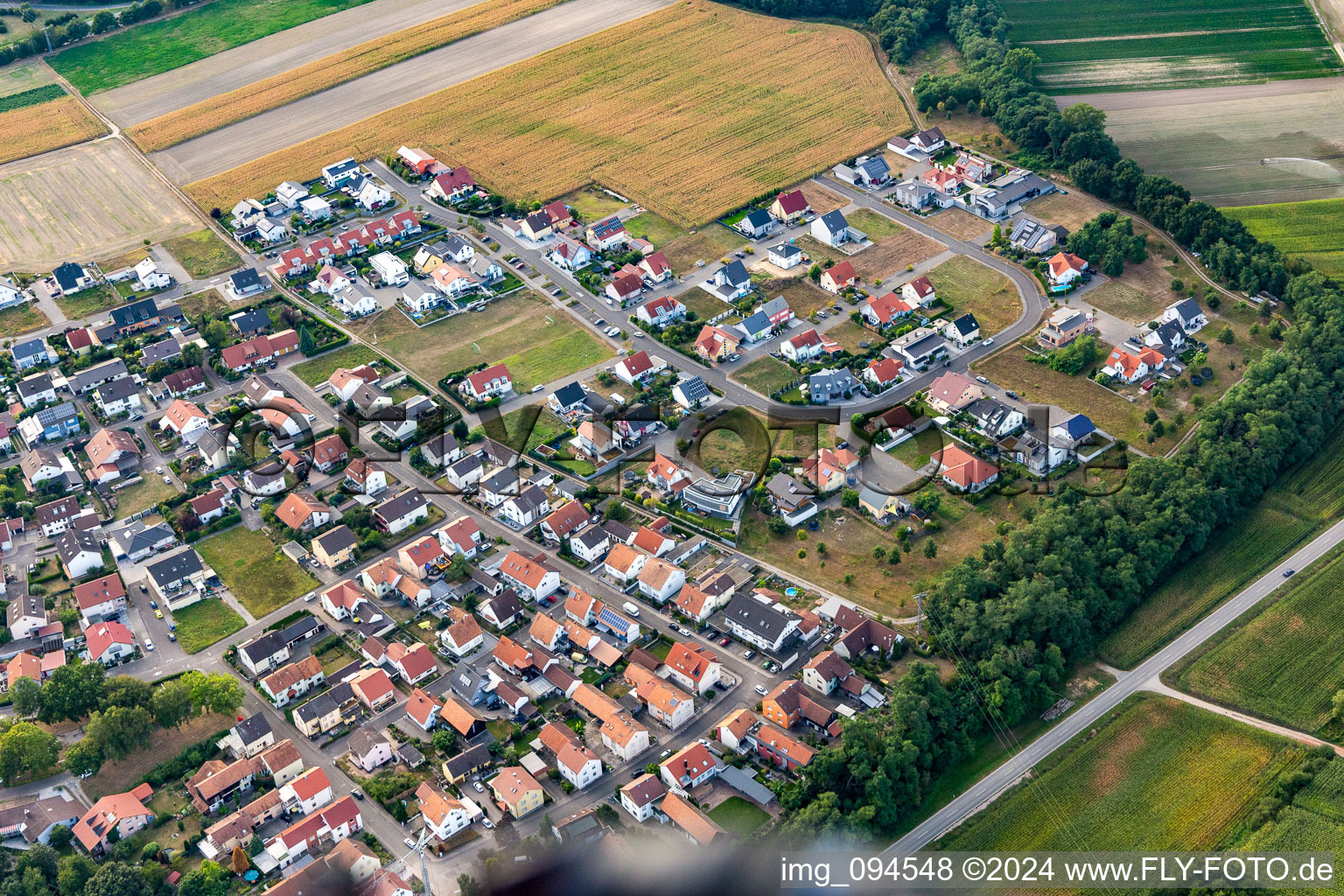 Bague fleur à le quartier Hardtwald in Neupotz dans le département Rhénanie-Palatinat, Allemagne d'en haut