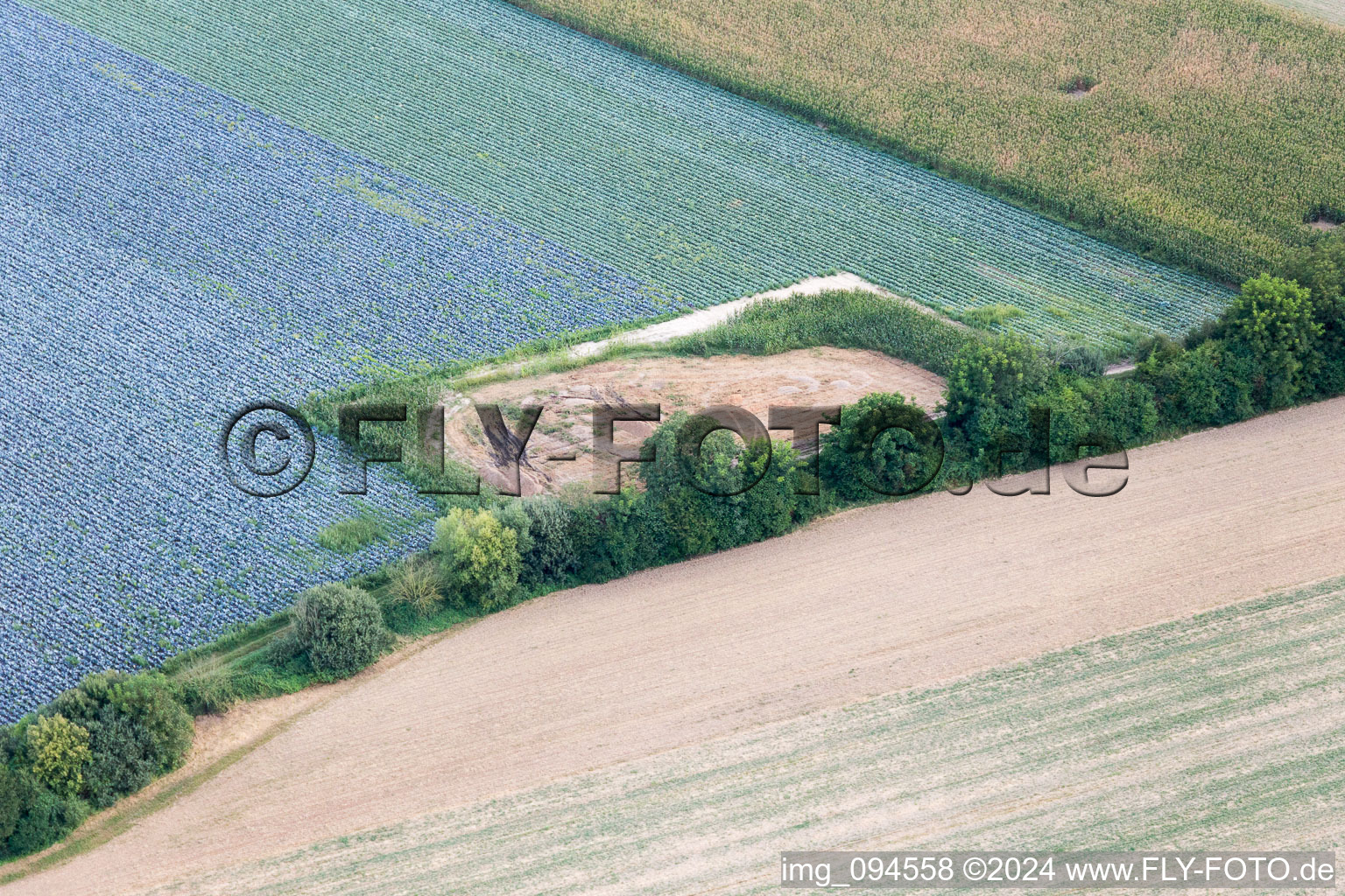 Hatzenbühl dans le département Rhénanie-Palatinat, Allemagne du point de vue du drone