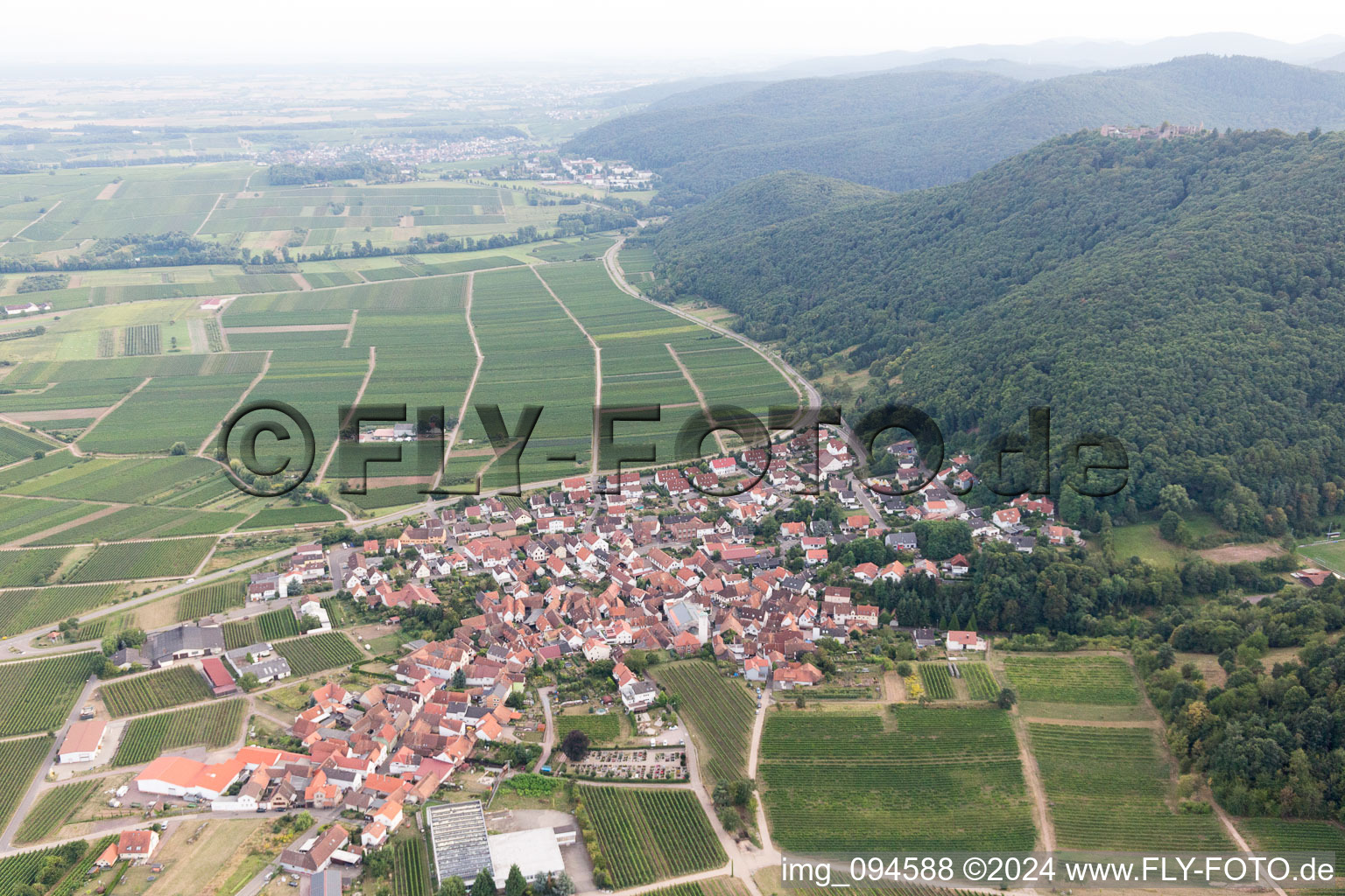 Leinsweiler dans le département Rhénanie-Palatinat, Allemagne du point de vue du drone