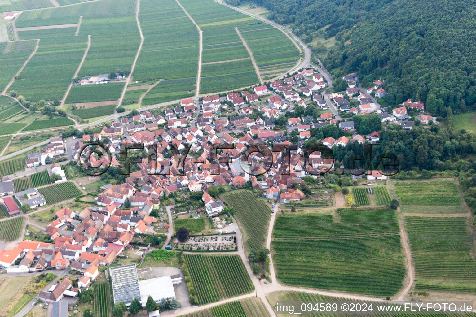 Leinsweiler dans le département Rhénanie-Palatinat, Allemagne d'un drone