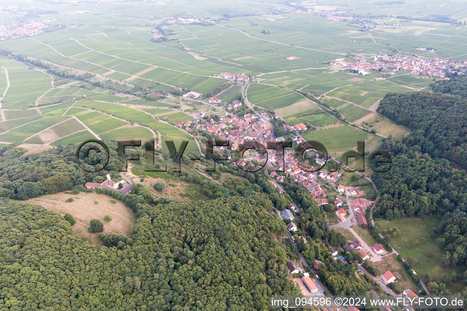 Leinsweiler dans le département Rhénanie-Palatinat, Allemagne vue d'en haut