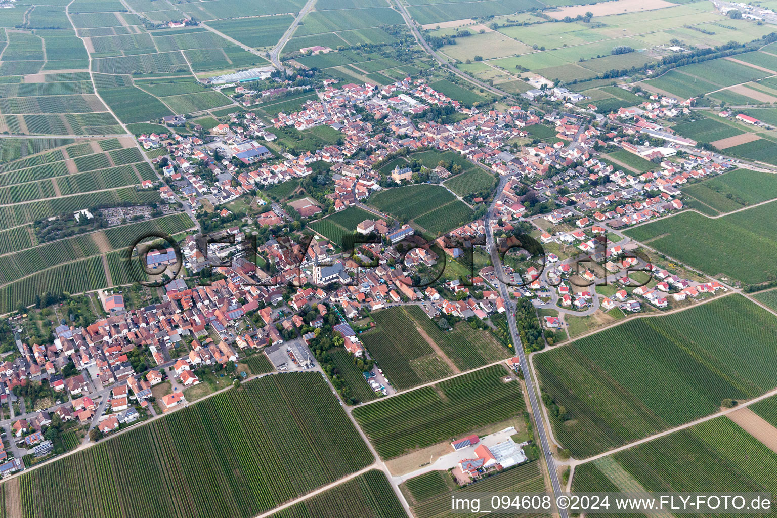 Vue aérienne de Vue des rues et des maisons des quartiers résidentiels à Edesheim dans le département Rhénanie-Palatinat, Allemagne