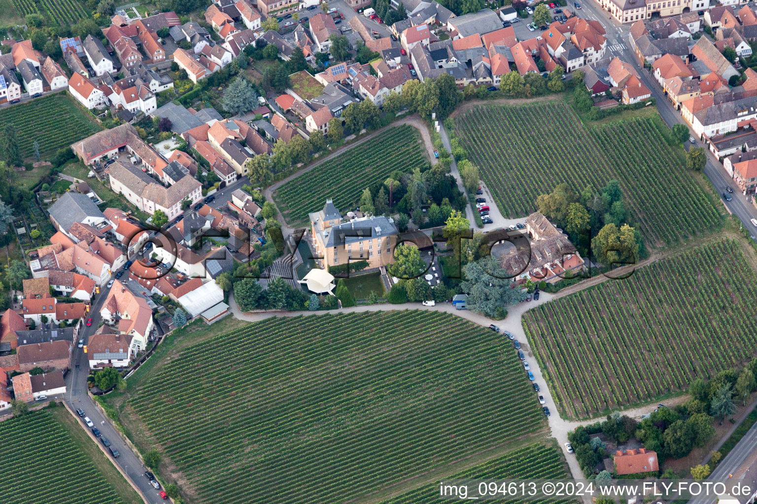 Photographie aérienne de Hôtel Schloß Edesheim, hôtels privés Dr. Lohbeck GmbH & Co. KG à Edesheim dans le département Rhénanie-Palatinat, Allemagne