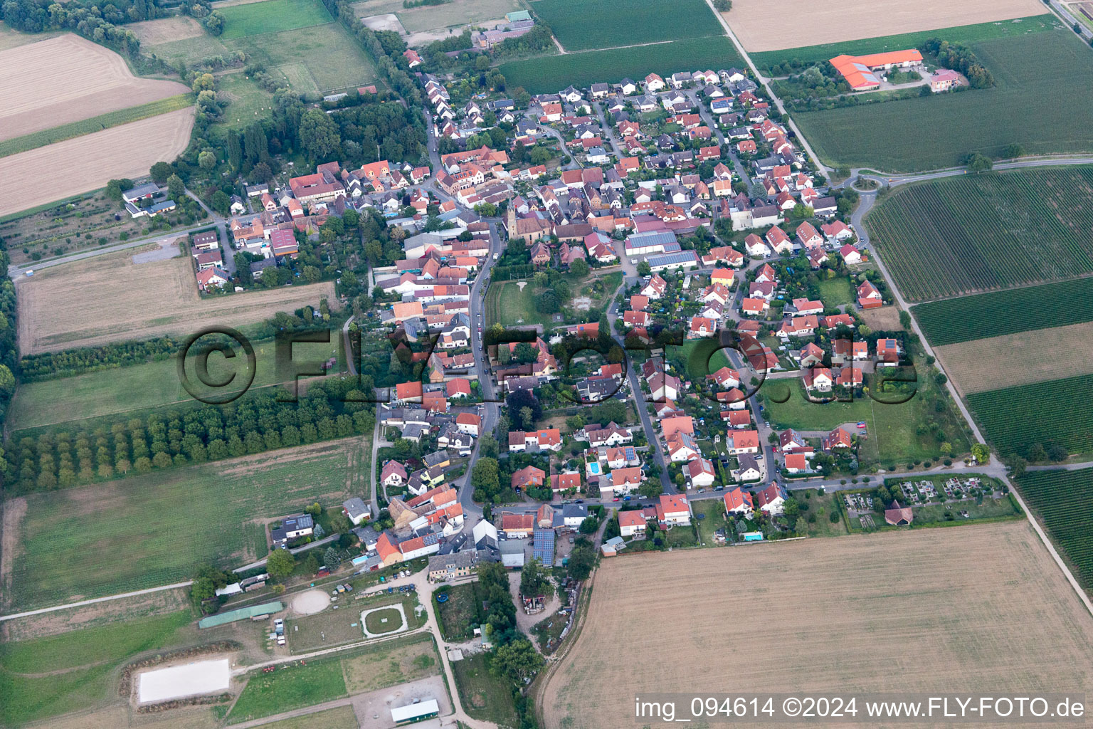 Großfischlingen dans le département Rhénanie-Palatinat, Allemagne depuis l'avion