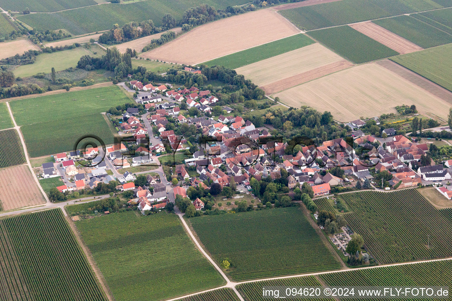 Kleinfischlingen dans le département Rhénanie-Palatinat, Allemagne depuis l'avion