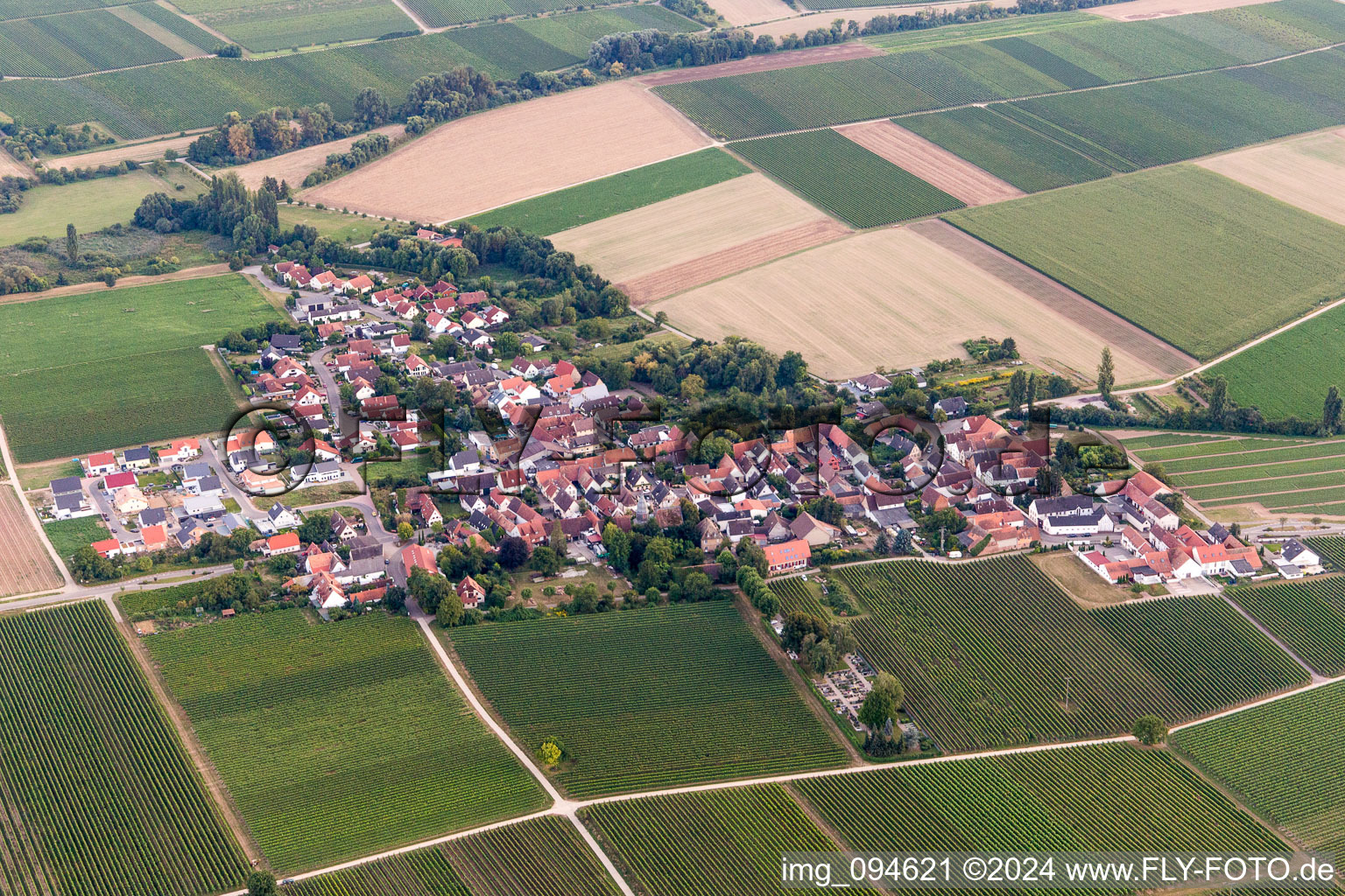 Vue aérienne de Champs agricoles et surfaces utilisables à Kleinfischlingen dans le département Rhénanie-Palatinat, Allemagne