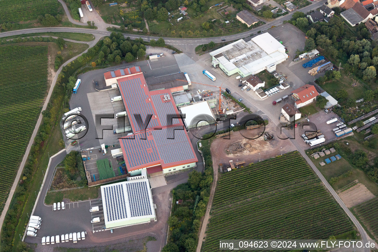 Vue aérienne de Adam Theis GmbH - légumes frais depuis 1875 à le quartier Niederhochstadt in Hochstadt dans le département Rhénanie-Palatinat, Allemagne