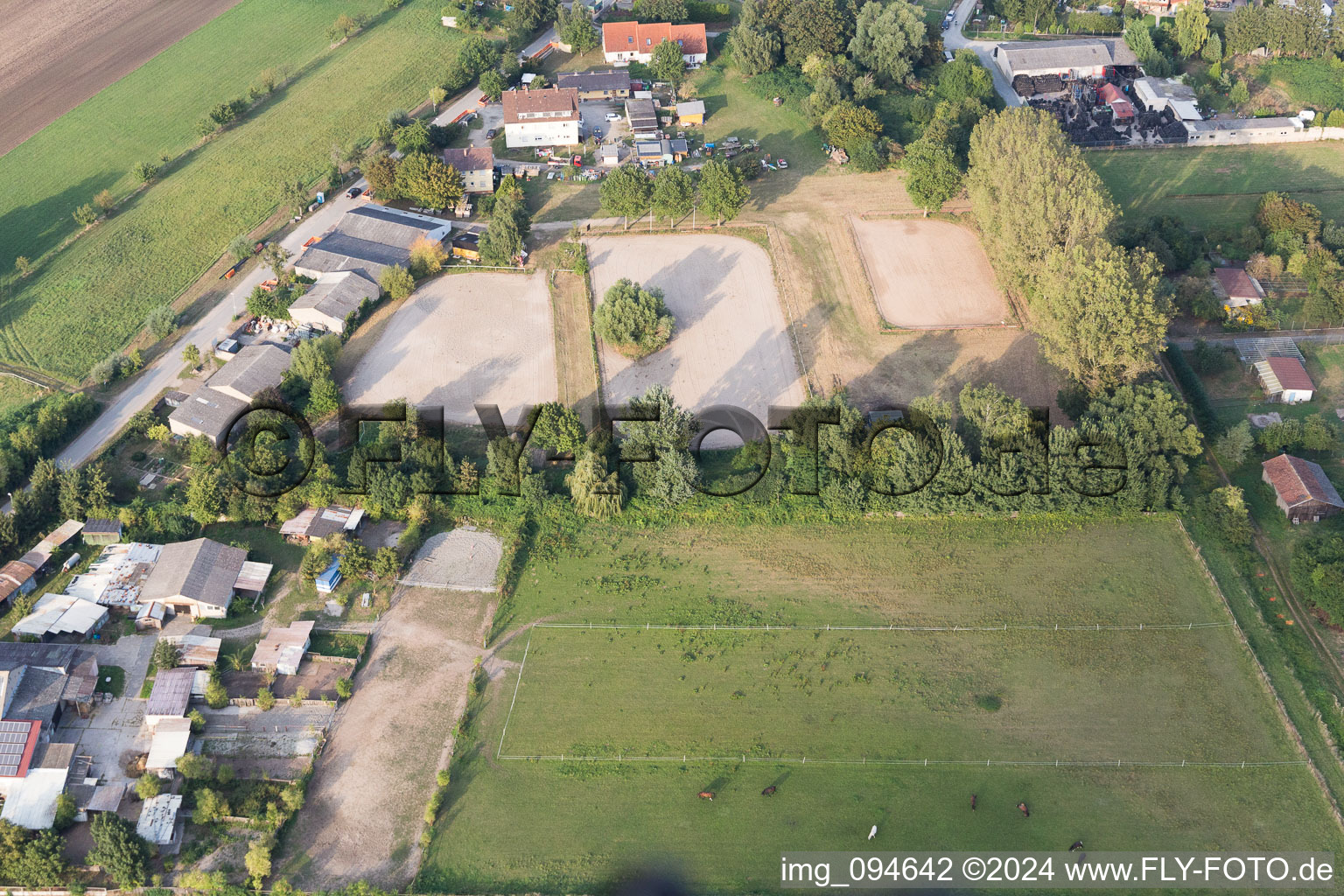 Groß-Rohrheim dans le département Hesse, Allemagne vue d'en haut