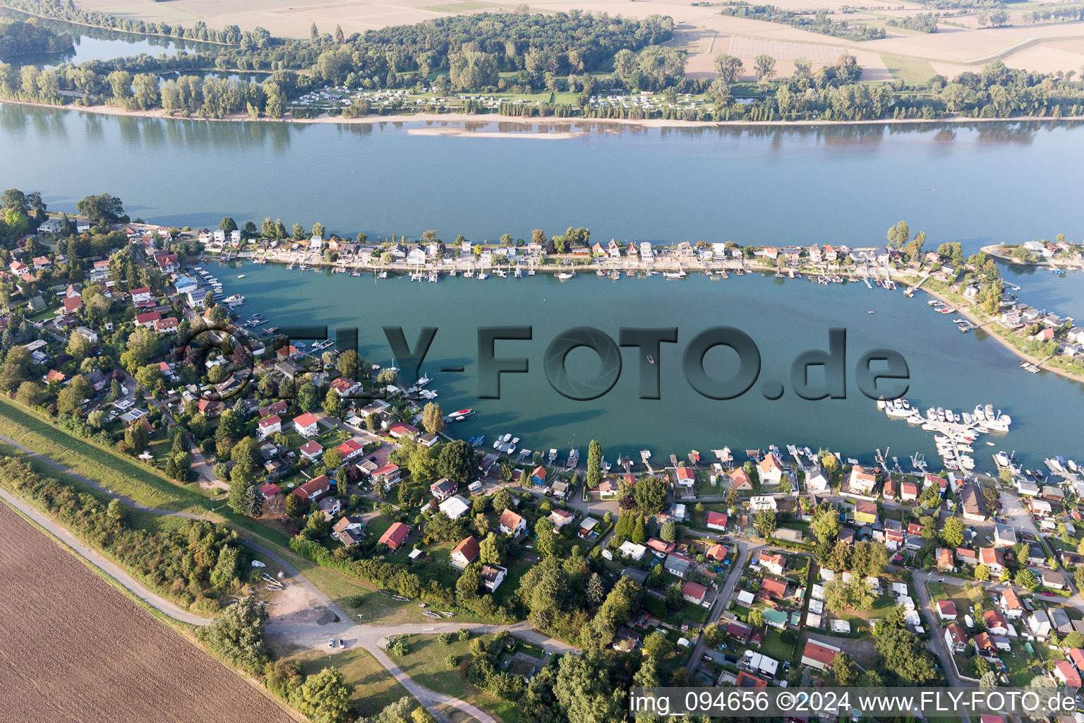 Vue aérienne de Zone des maisons de week-end et zones riveraines de l'Eicher See sur le Rhin dans le district d'Eicher See à Eich dans le département Rhénanie-Palatinat, Allemagne