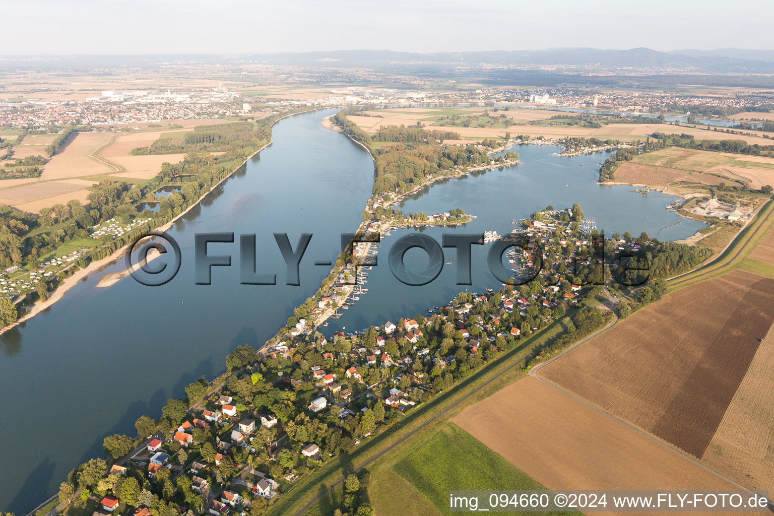 Photographie aérienne de Zone des maisons de week-end et zones riveraines de l'Eicher See sur le Rhin dans le district d'Eicher See à Eich dans le département Rhénanie-Palatinat, Allemagne