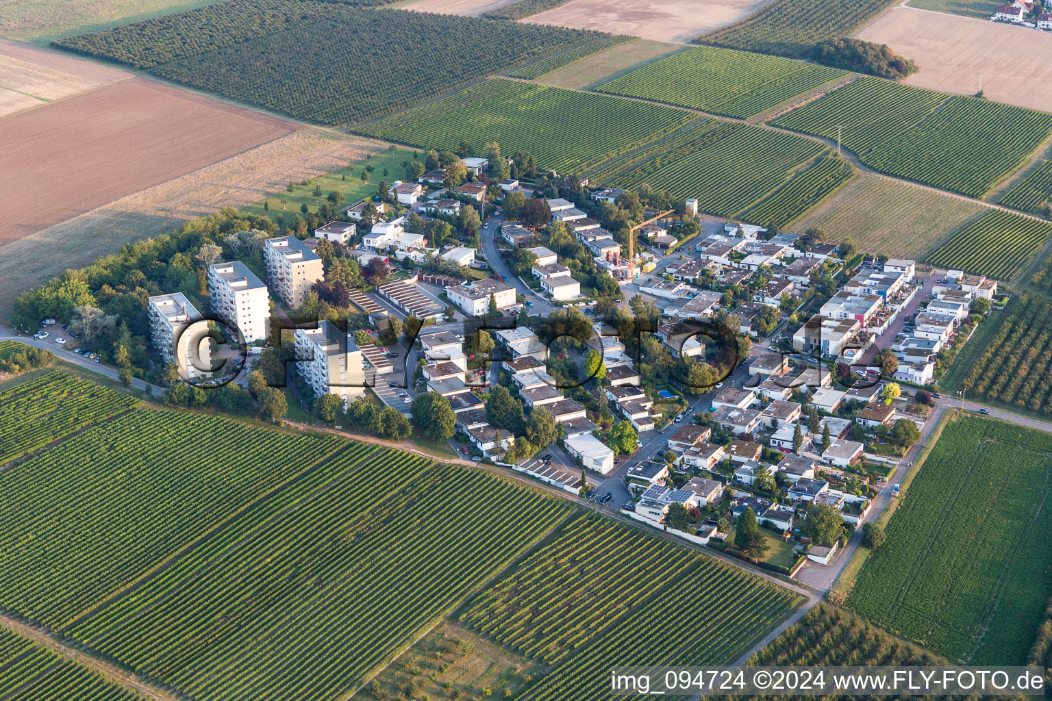 Vue aérienne de Quartier de la Goldbergstrasse dans la zone urbaine à Nieder-Olm dans le département Rhénanie-Palatinat, Allemagne