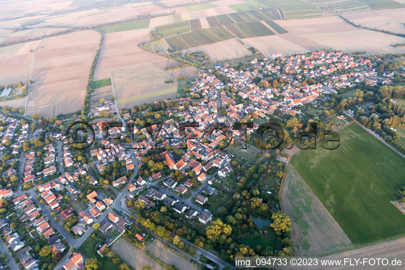 Vue aérienne de Vue des rues et des maisons des quartiers résidentiels à Hahnheim dans le département Rhénanie-Palatinat, Allemagne