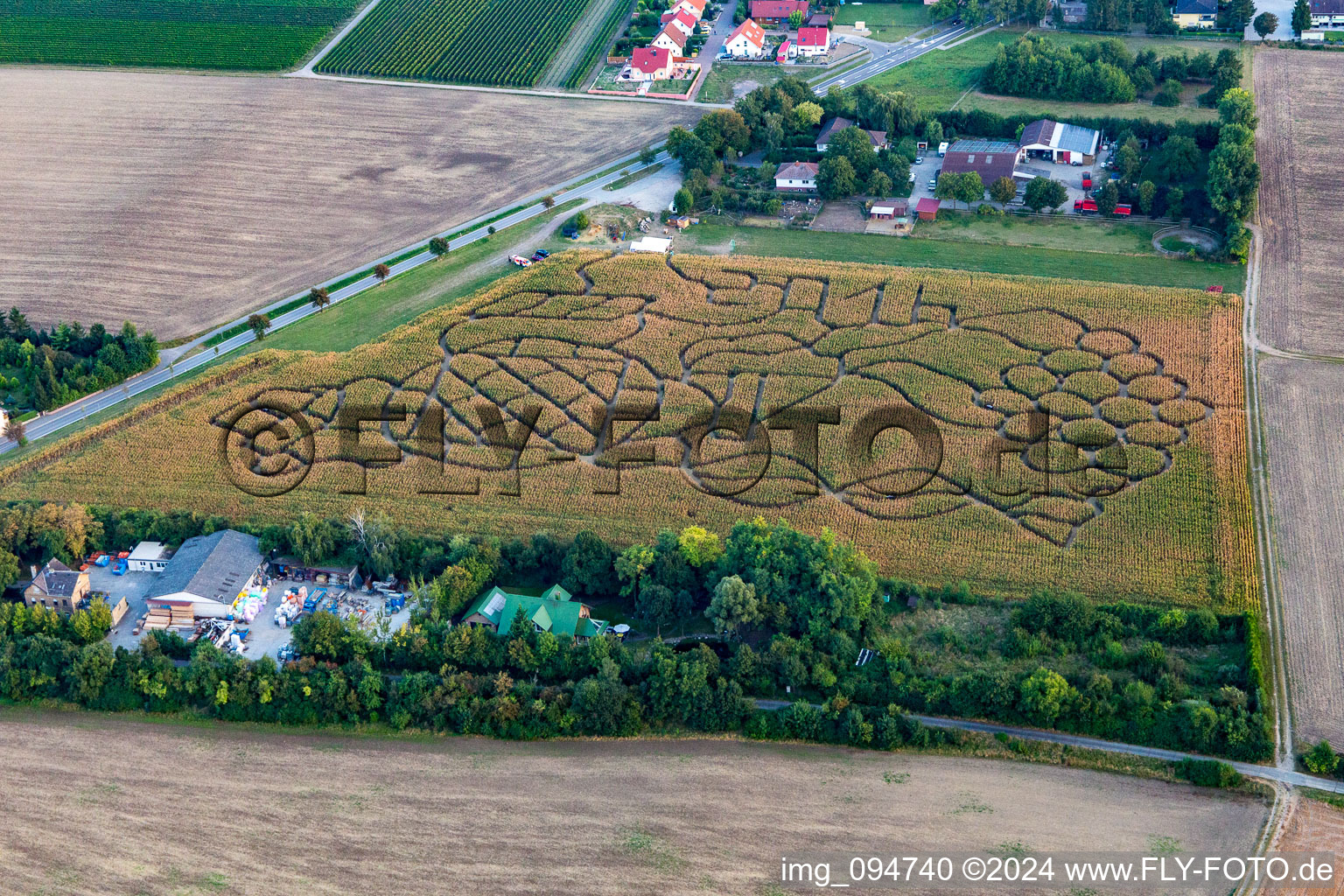 Vue aérienne de Labyrinthe de maïs à Dalheim dans le département Rhénanie-Palatinat, Allemagne