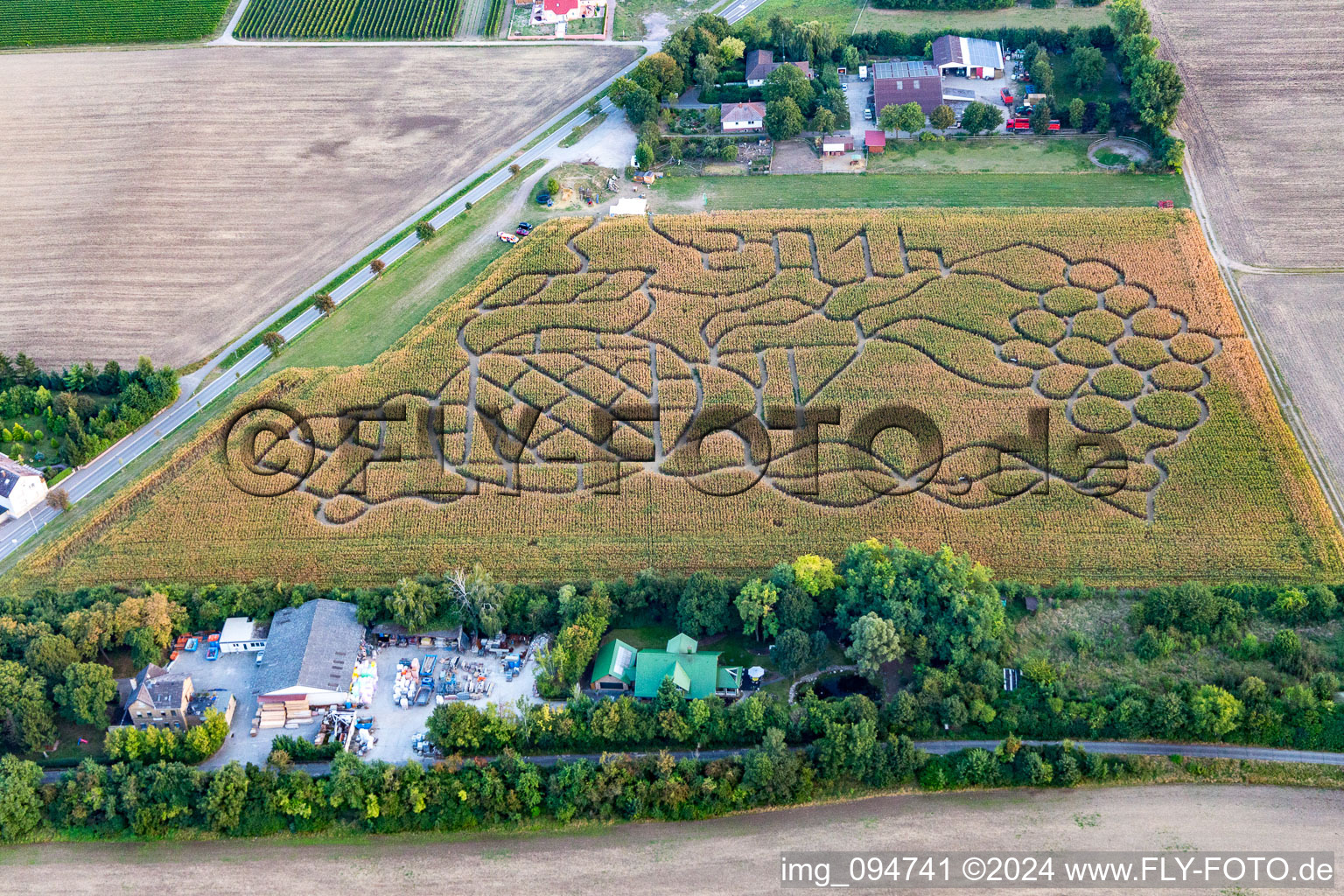 Photographie aérienne de Labyrinthe de maïs à Dalheim dans le département Rhénanie-Palatinat, Allemagne