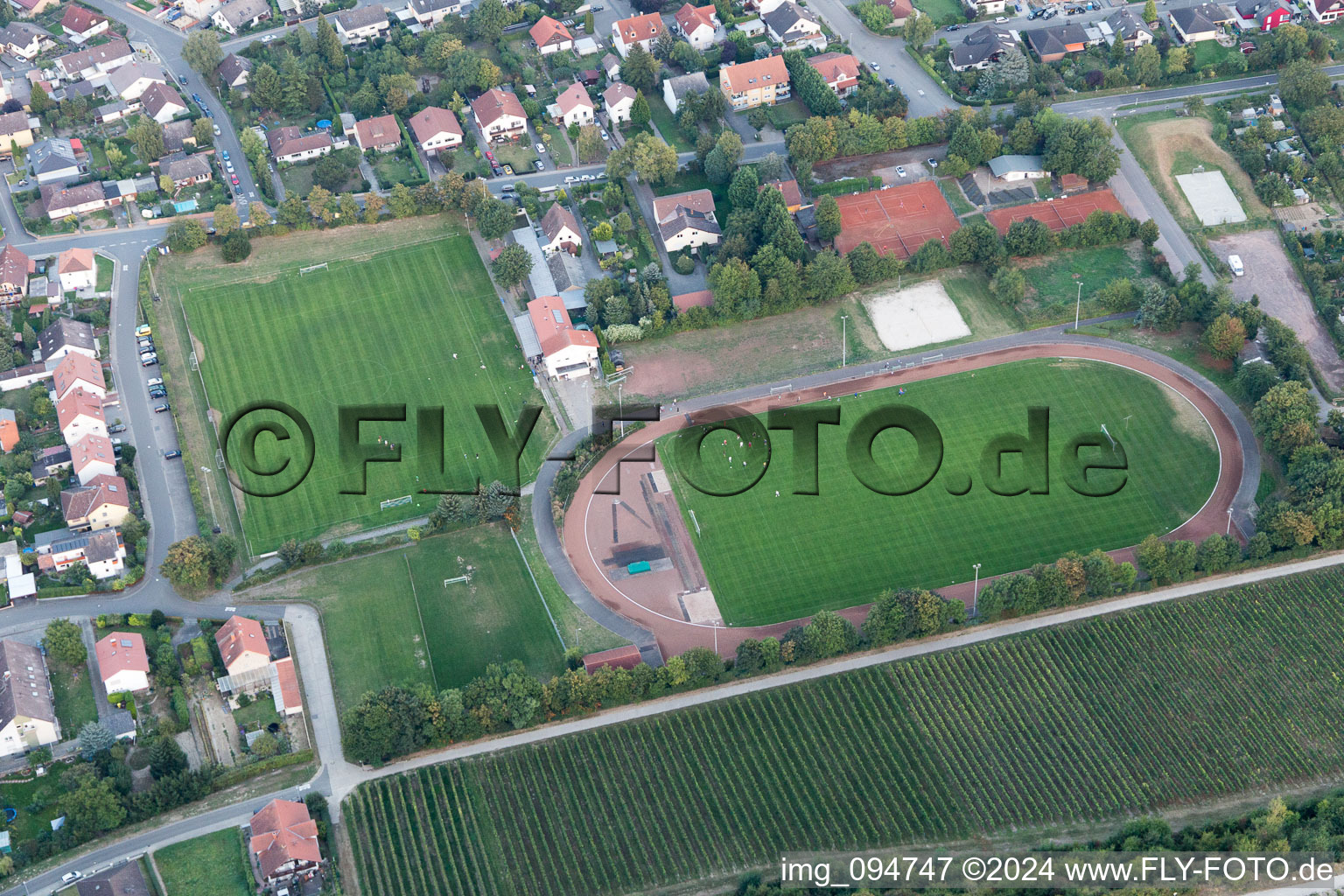 Guntersblum dans le département Rhénanie-Palatinat, Allemagne du point de vue du drone