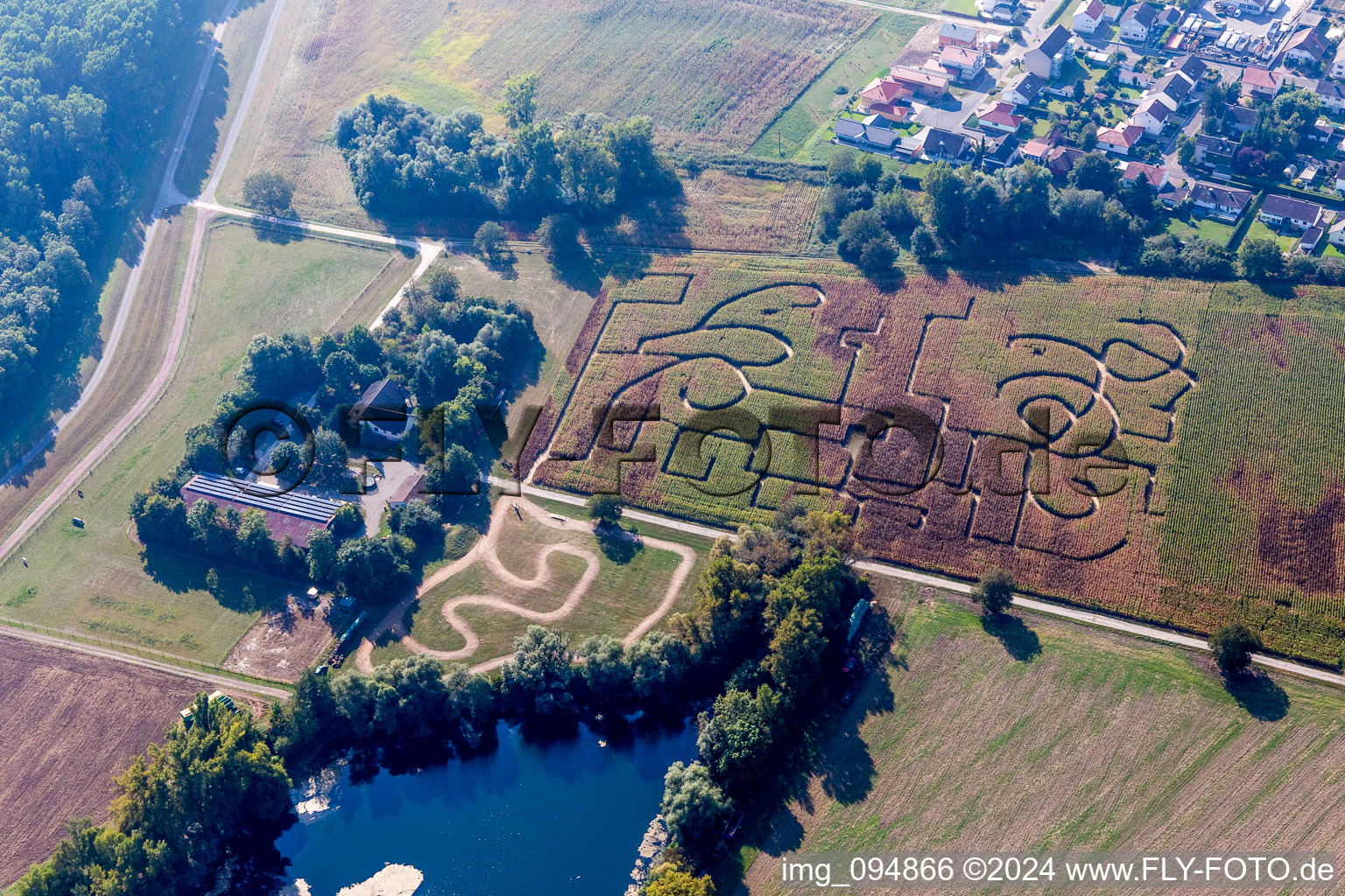 Vue aérienne de Labyrinthe - labyrinthe dans un champ de maïs à Leimersheim dans le département Rhénanie-Palatinat, Allemagne