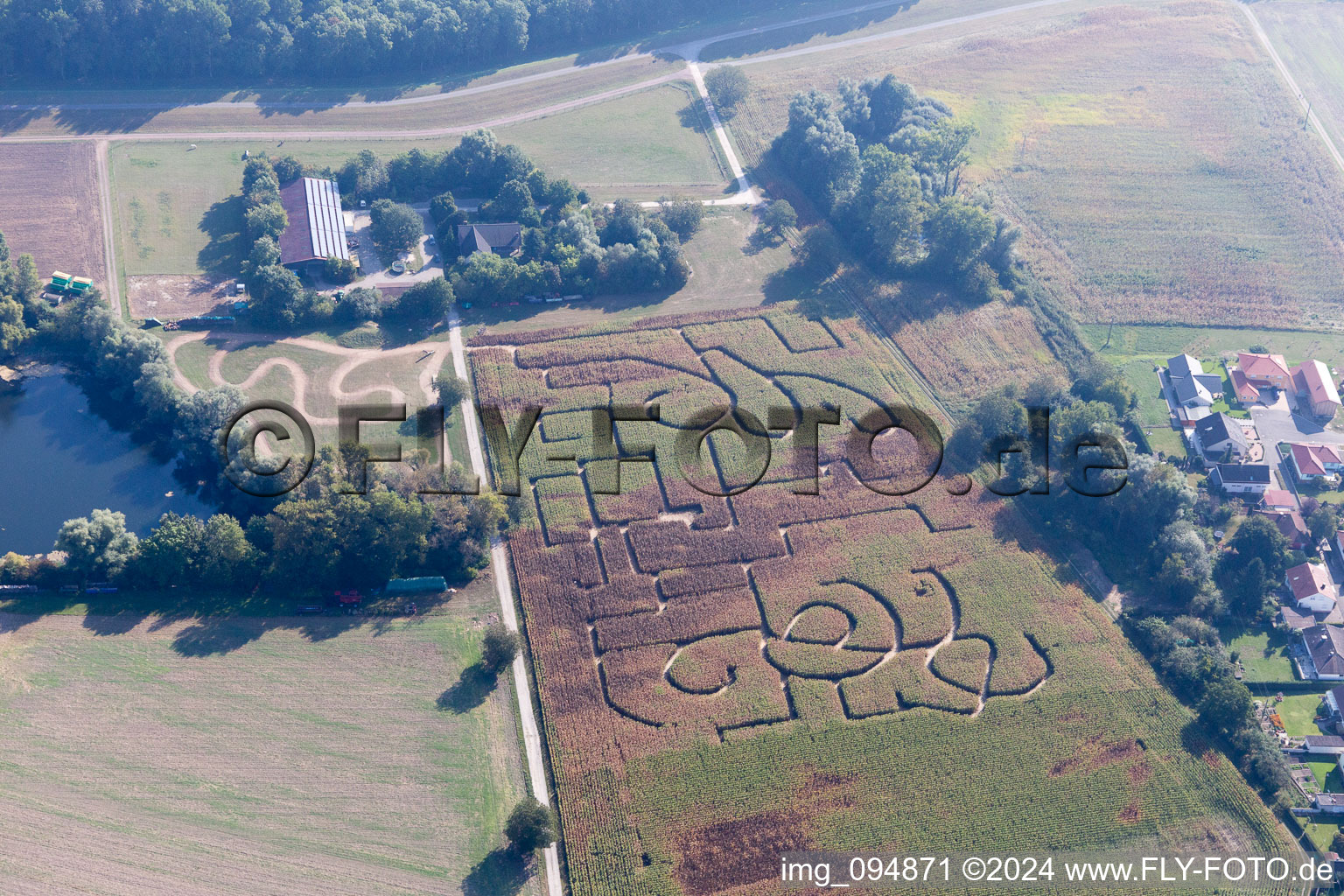 Vue aérienne de Labyrinthe de maïs à Leimersheim dans le département Rhénanie-Palatinat, Allemagne