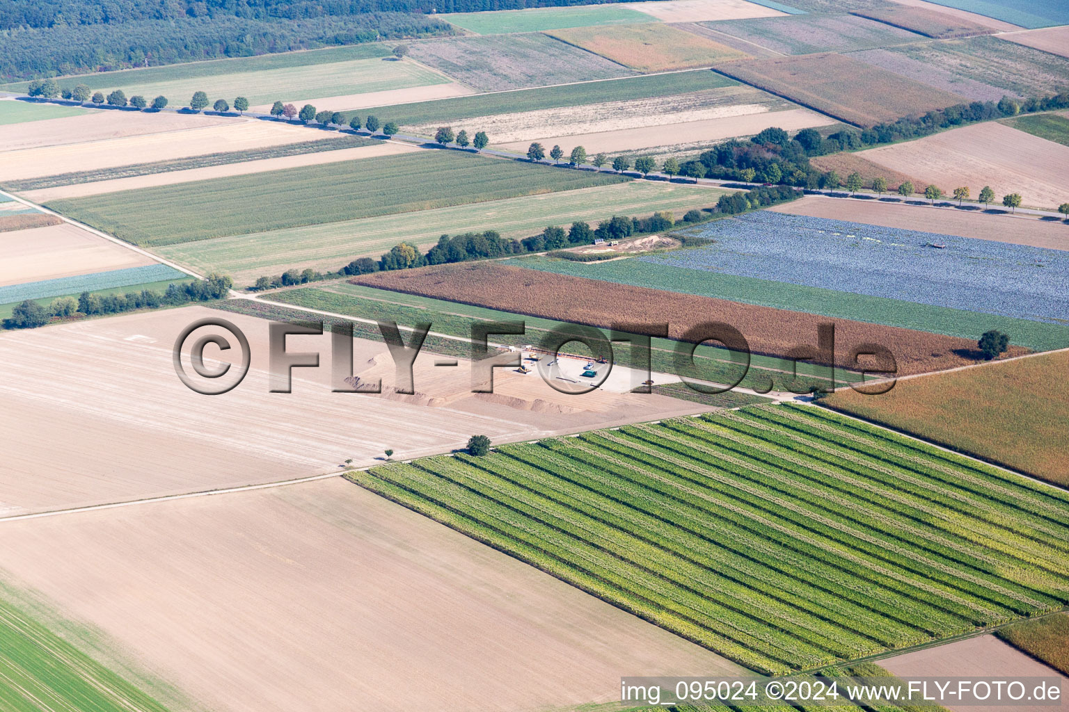 Hatzenbühl dans le département Rhénanie-Palatinat, Allemagne depuis l'avion