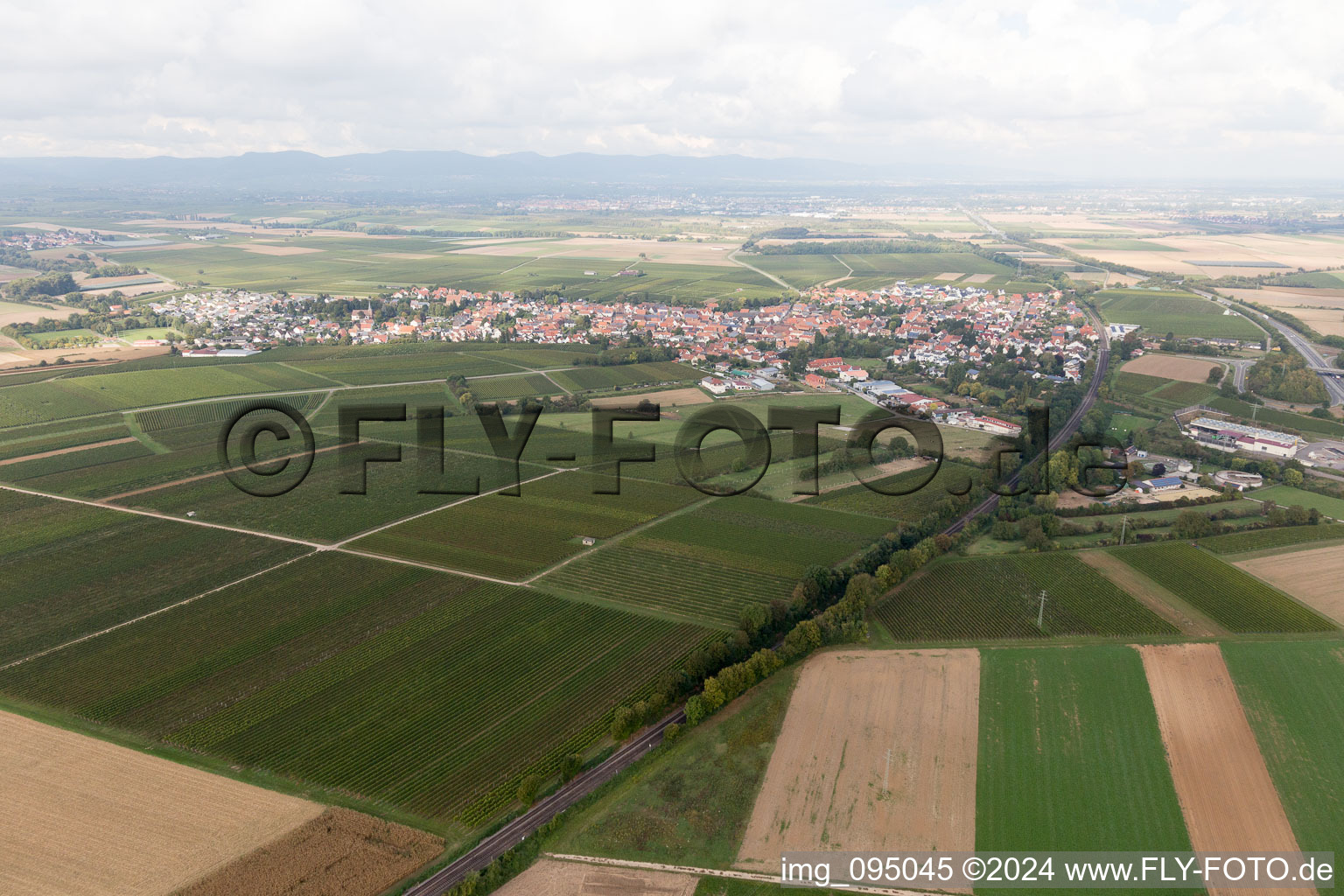 Insheim dans le département Rhénanie-Palatinat, Allemagne d'en haut