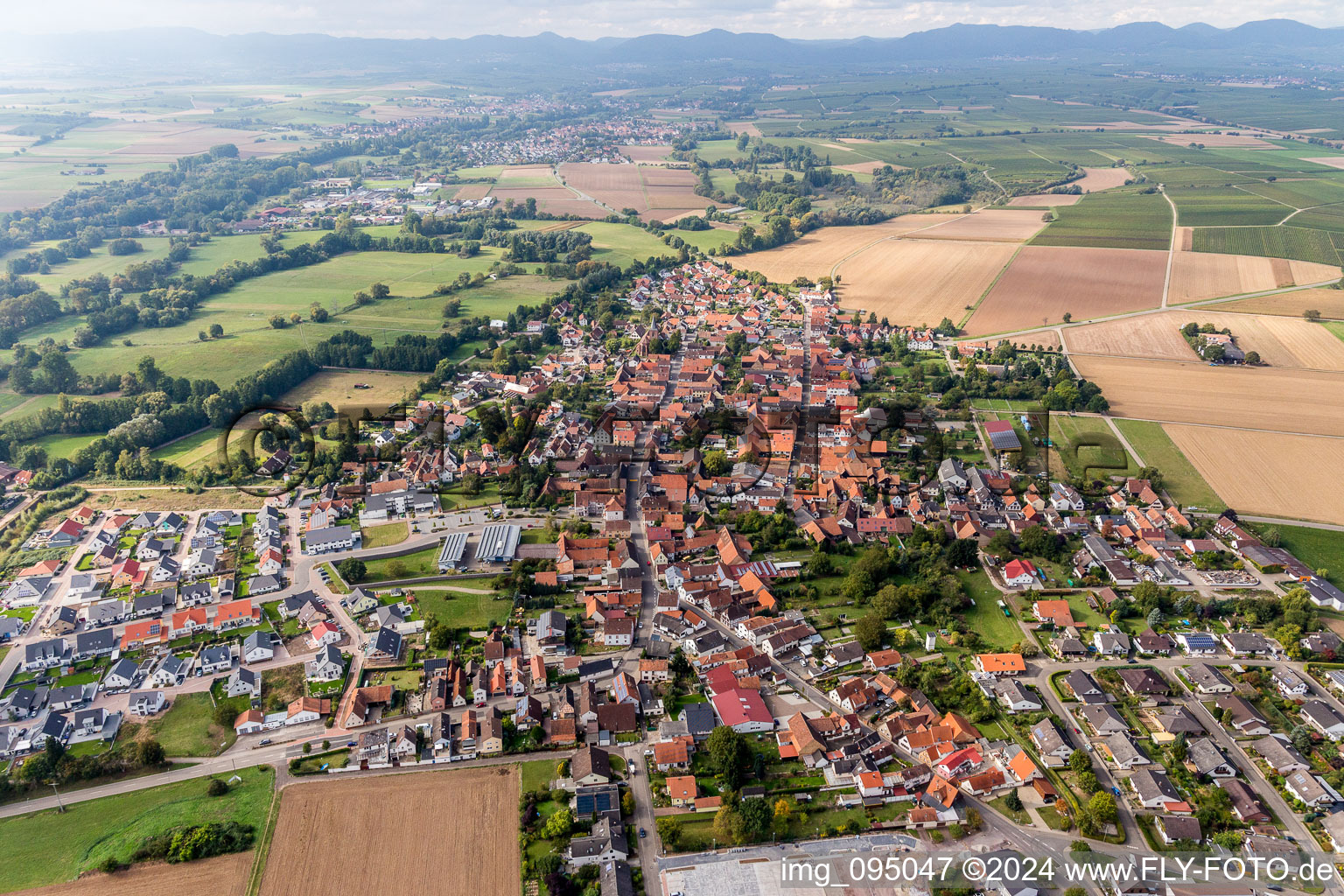 Vue oblique de Champs agricoles et surfaces utilisables à Rohrbach dans le département Rhénanie-Palatinat, Allemagne