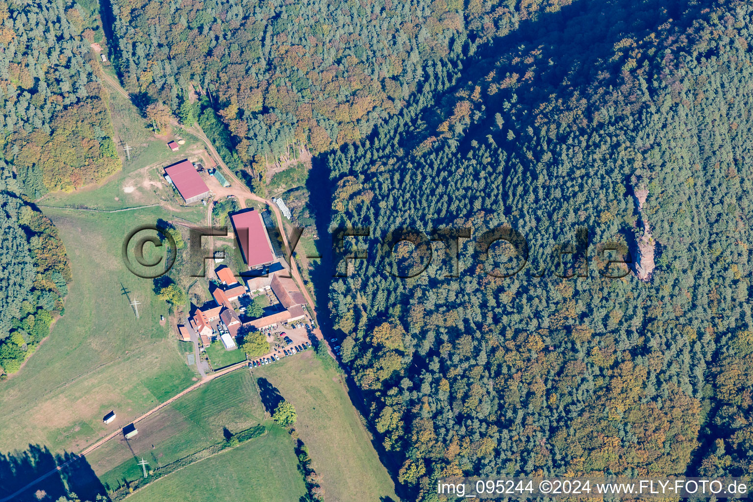 Vue aérienne de Bio-Gasthof Bärenbrunnerhof à Busenberg dans le département Rhénanie-Palatinat, Allemagne