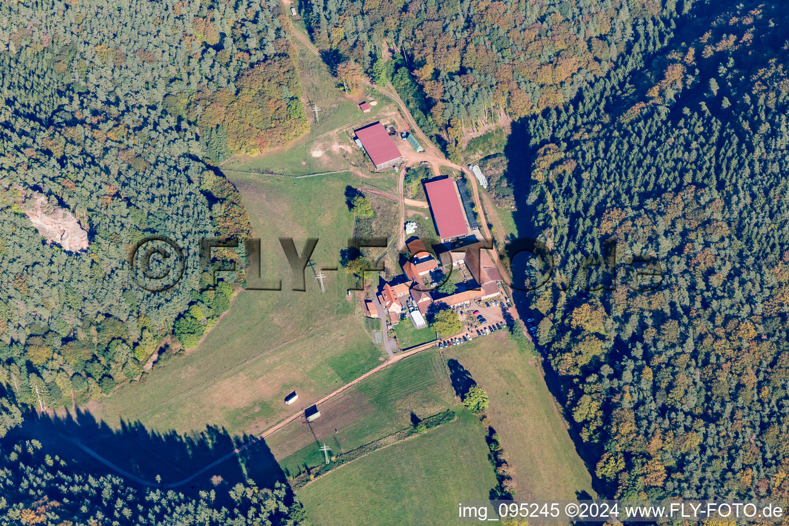 Vue aérienne de Bio-Gasthof Bärenbrunnerhof à Busenberg dans le département Rhénanie-Palatinat, Allemagne