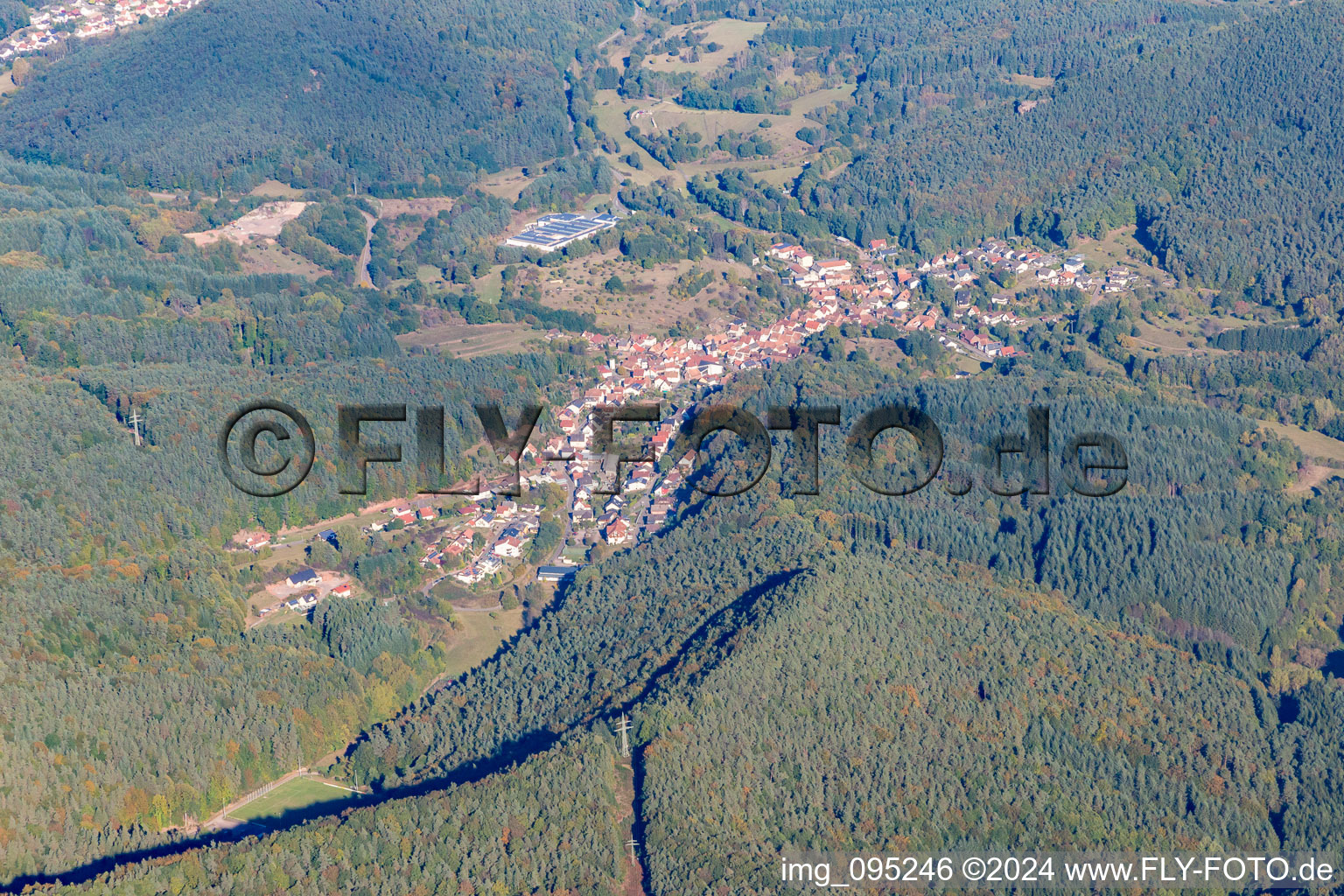 Vue aérienne de Du sud-ouest à Schwanheim dans le département Rhénanie-Palatinat, Allemagne