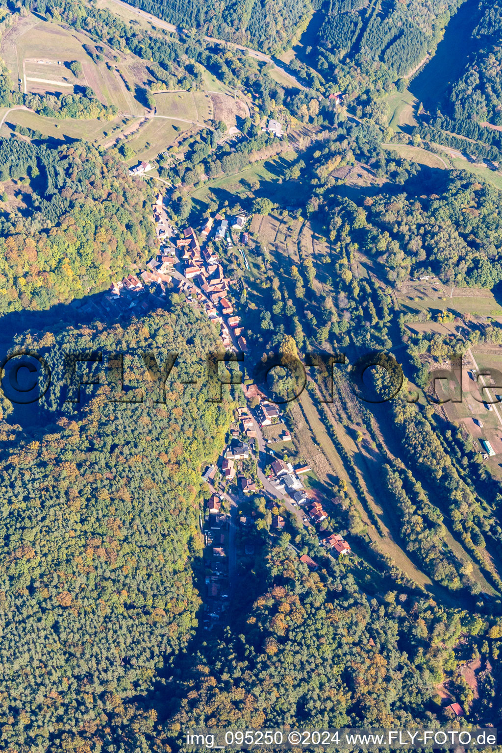 Oberschlettenbach dans le département Rhénanie-Palatinat, Allemagne vue d'en haut