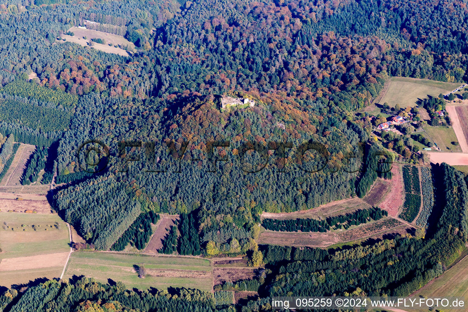 Vue aérienne de Ruines du Lindenfels à Vorderweidenthal dans le département Rhénanie-Palatinat, Allemagne