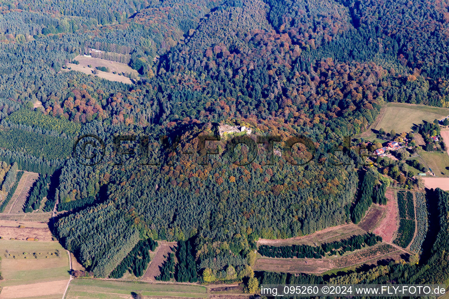 Photographie aérienne de Ruines du Lindenfels à Vorderweidenthal dans le département Rhénanie-Palatinat, Allemagne