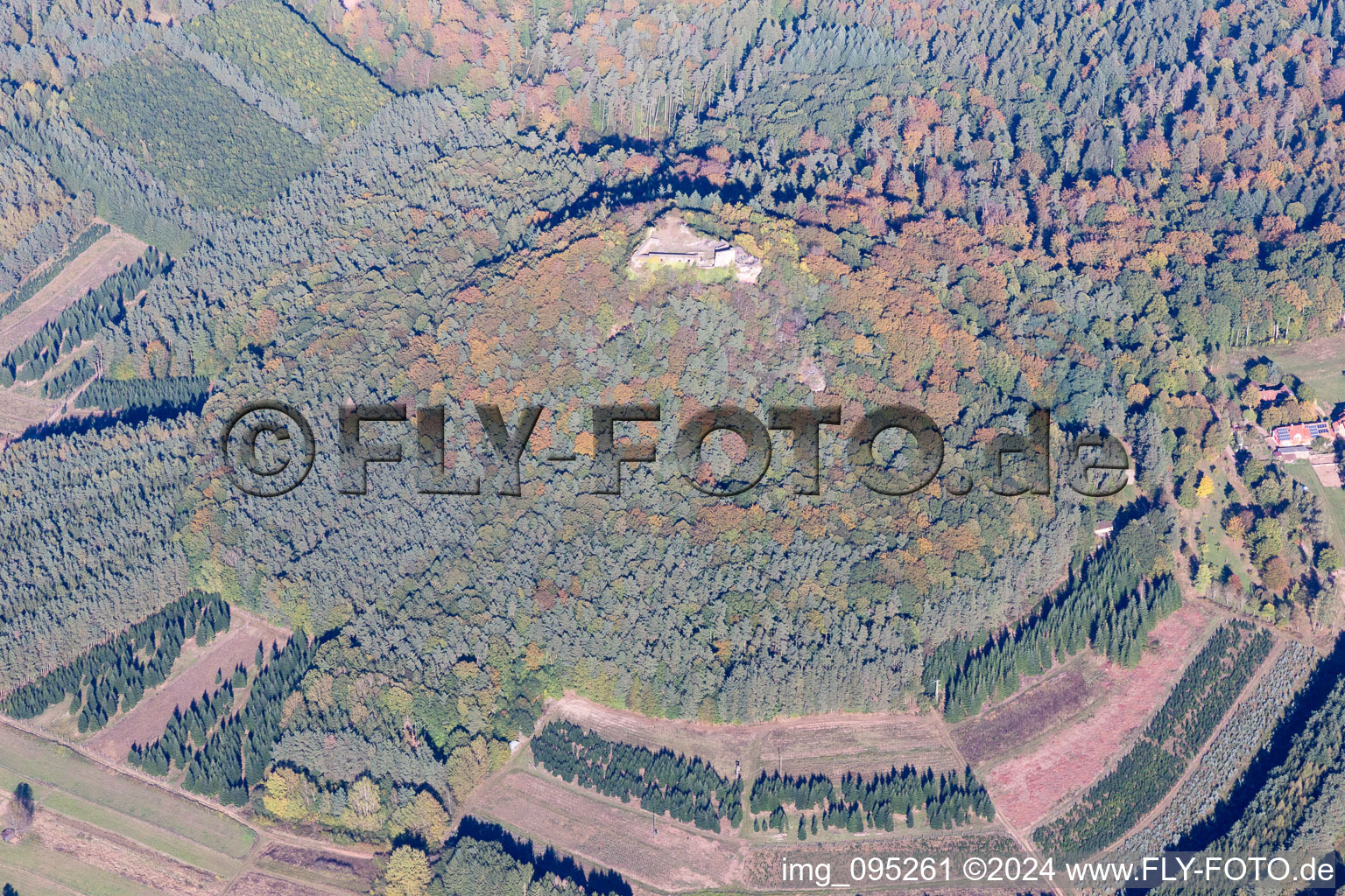 Vue aérienne de Ruines de Darstein à Vorderweidenthal dans le département Rhénanie-Palatinat, Allemagne