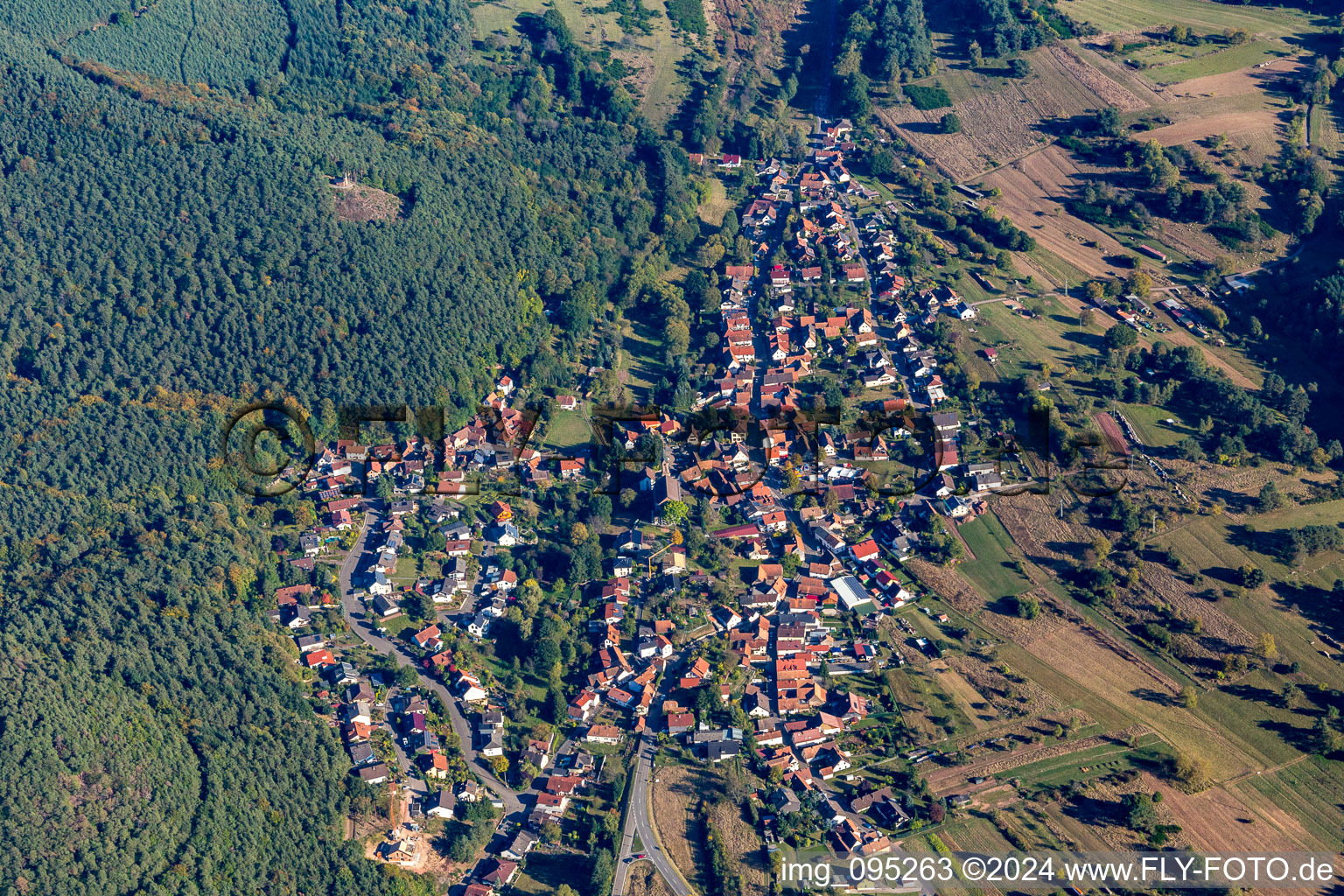 Vue aérienne de Champs agricoles et surfaces utilisables à Birkenhördt dans le département Rhénanie-Palatinat, Allemagne