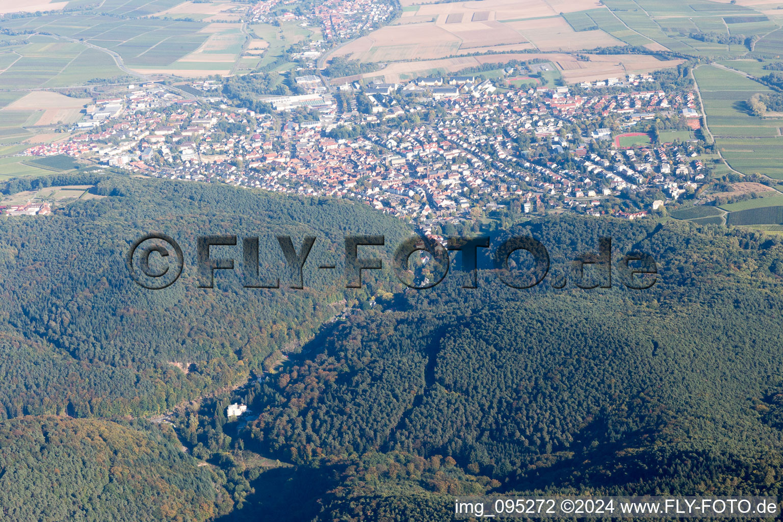 Bad Bergzabern dans le département Rhénanie-Palatinat, Allemagne d'en haut