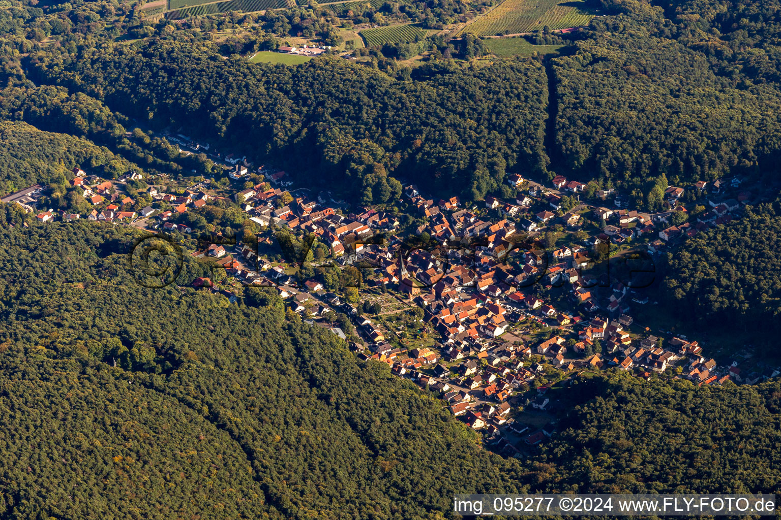 Vue oblique de Dörrenbach dans le département Rhénanie-Palatinat, Allemagne