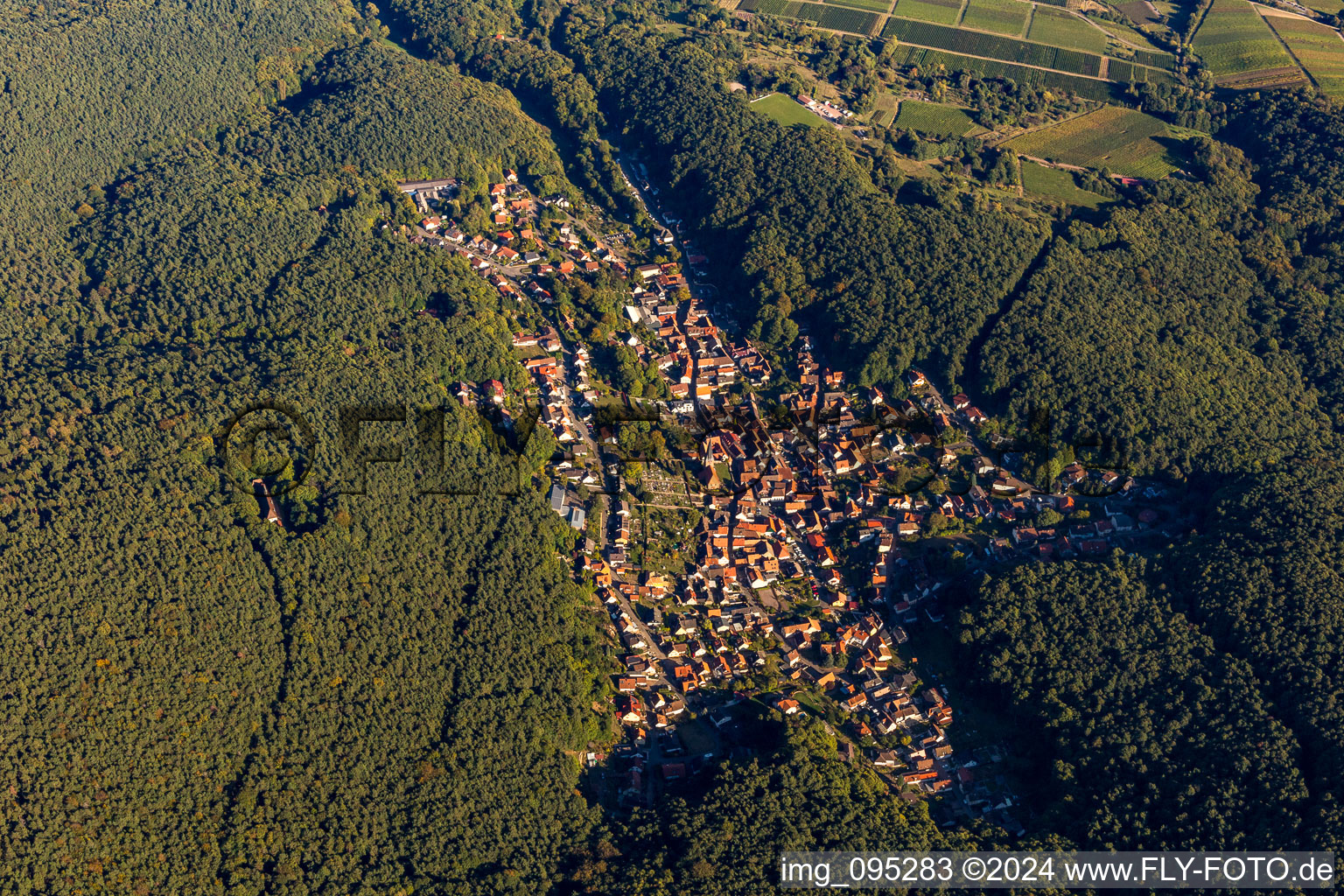 Vue d'oiseau de Dörrenbach dans le département Rhénanie-Palatinat, Allemagne