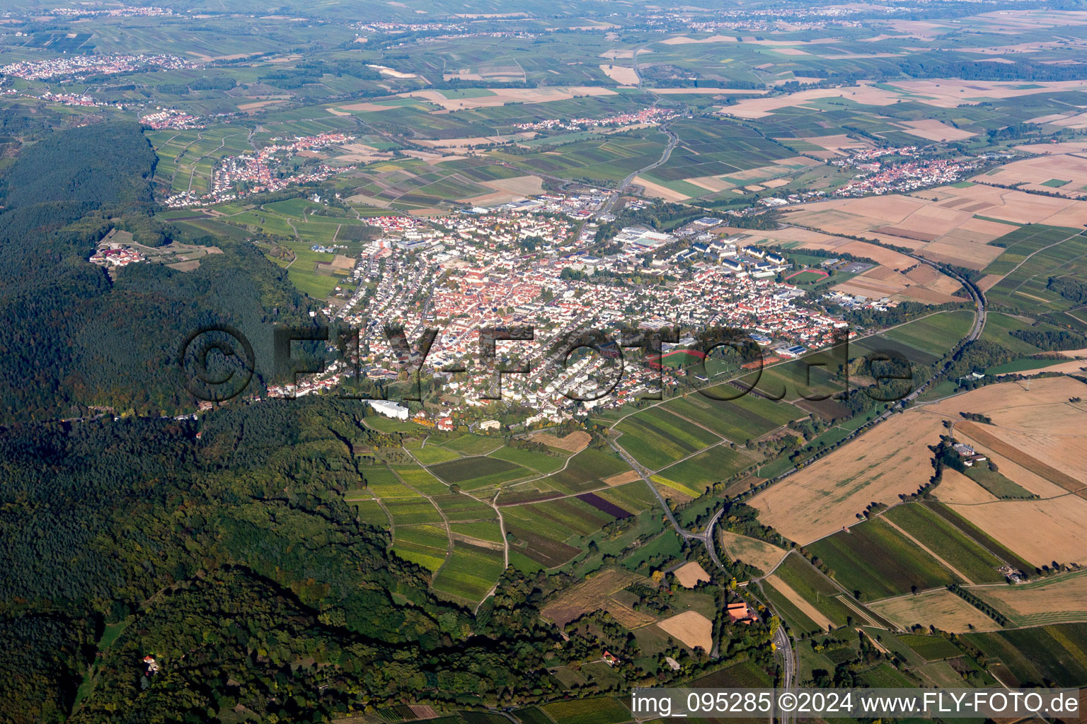 Bad Bergzabern dans le département Rhénanie-Palatinat, Allemagne vue d'en haut