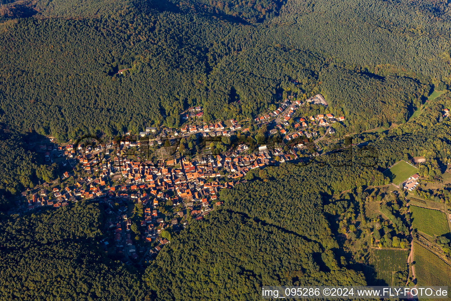 Vue aérienne de Paysage forestier et montagneux de la forêt du sud du Palatinat à Dörrenbach dans le département Rhénanie-Palatinat, Allemagne