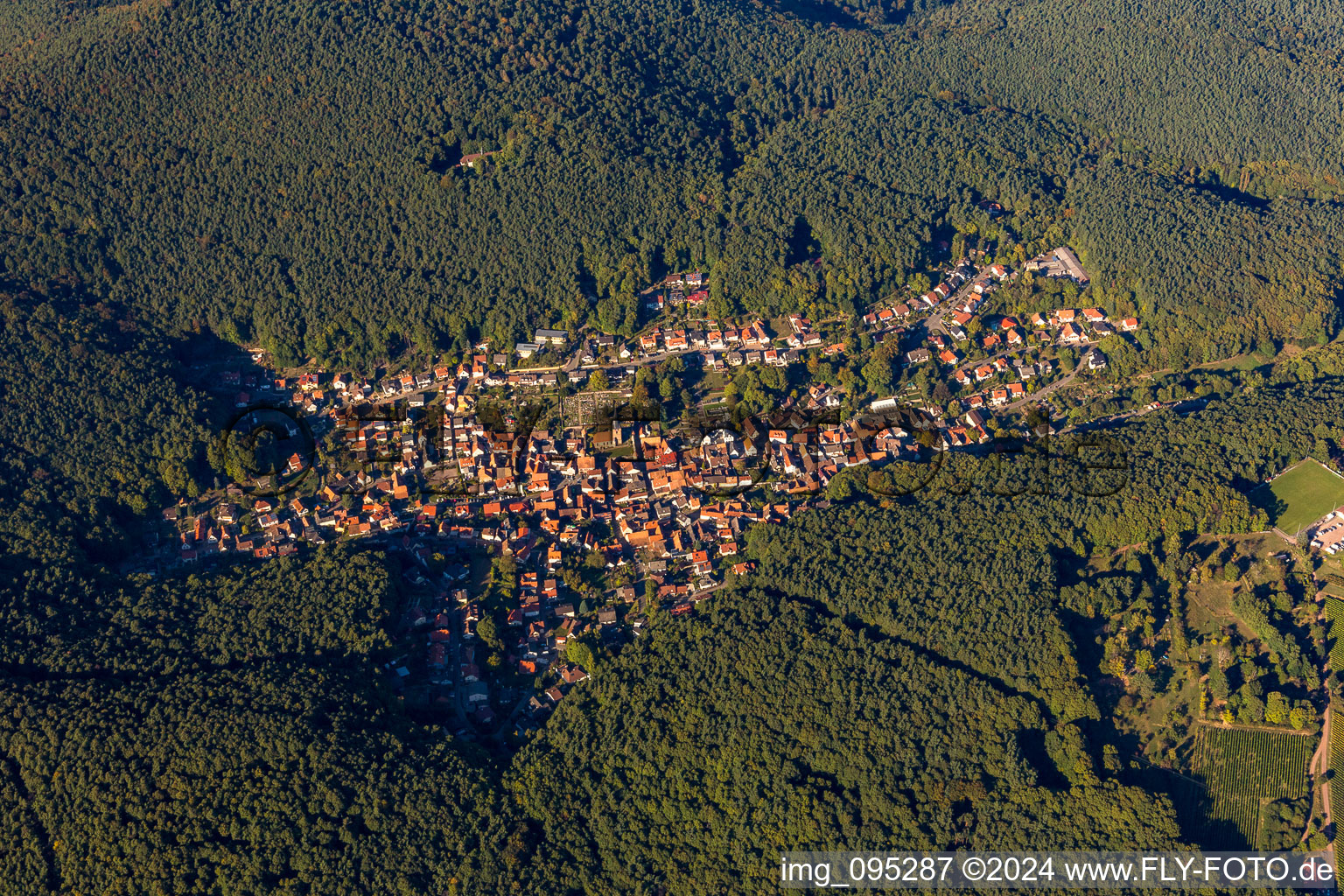 Dörrenbach dans le département Rhénanie-Palatinat, Allemagne vue du ciel