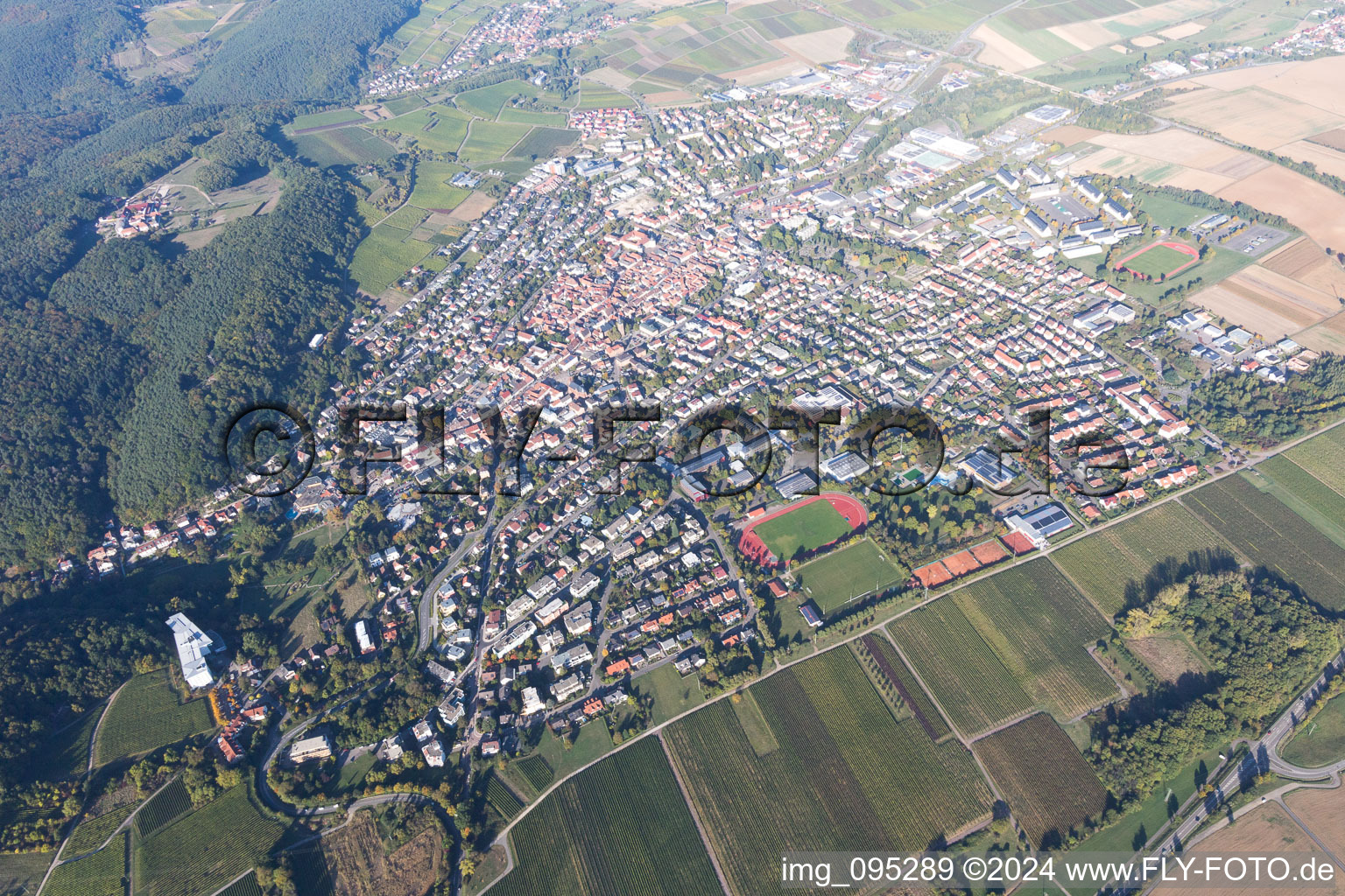 Bad Bergzabern dans le département Rhénanie-Palatinat, Allemagne depuis l'avion