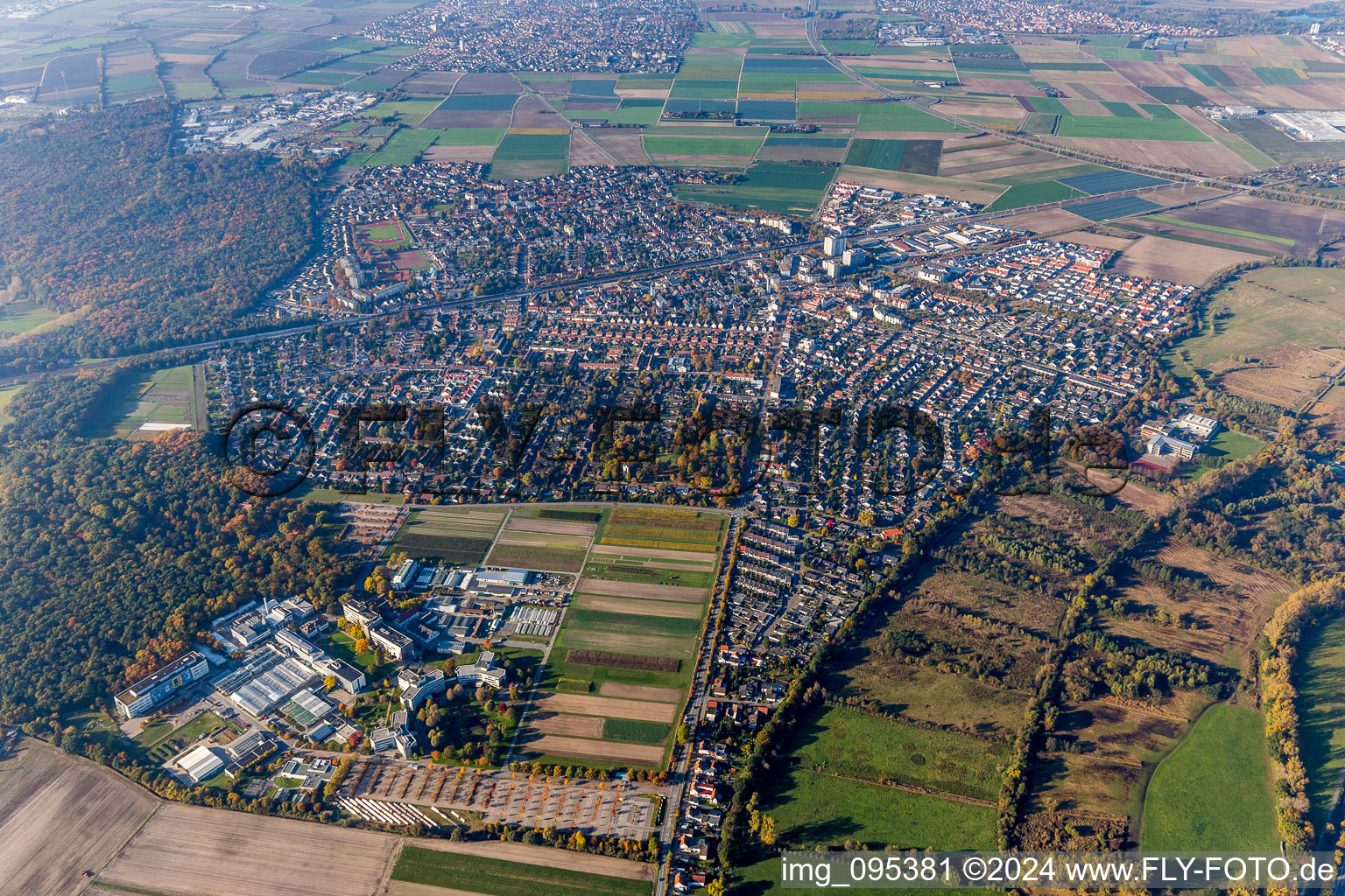 Vue aérienne de Centre agricole BASF au premier plan de la ville, vue de Limburgerhof à Limburgerhof dans le département Rhénanie-Palatinat, Allemagne