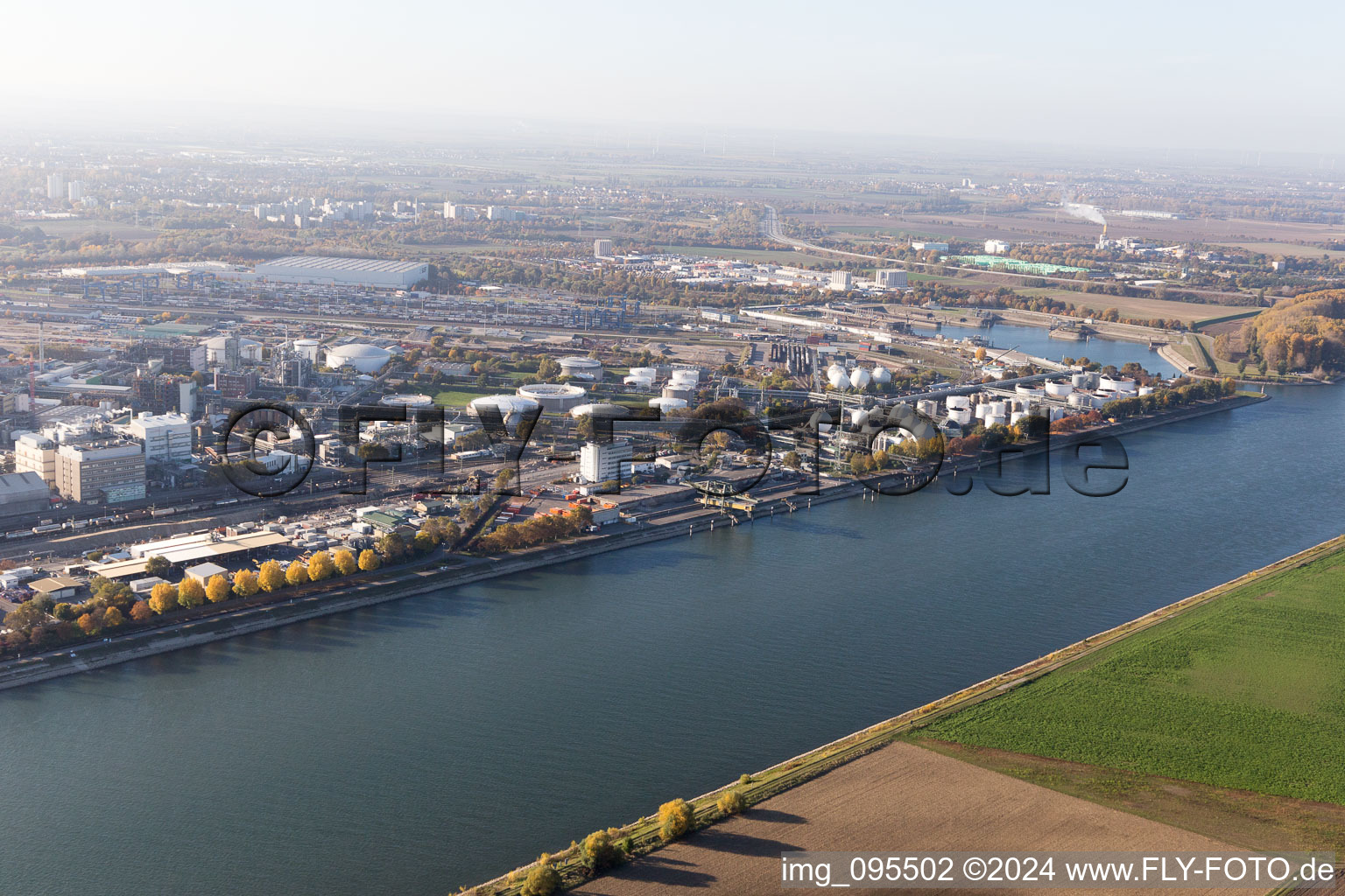 Vue oblique de Quartier BASF in Ludwigshafen am Rhein dans le département Rhénanie-Palatinat, Allemagne