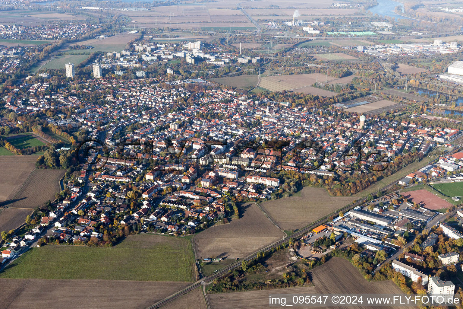 Vue aérienne de Vue des rues et des maisons des quartiers résidentiels à le quartier Edigheim in Ludwigshafen am Rhein dans le département Rhénanie-Palatinat, Allemagne